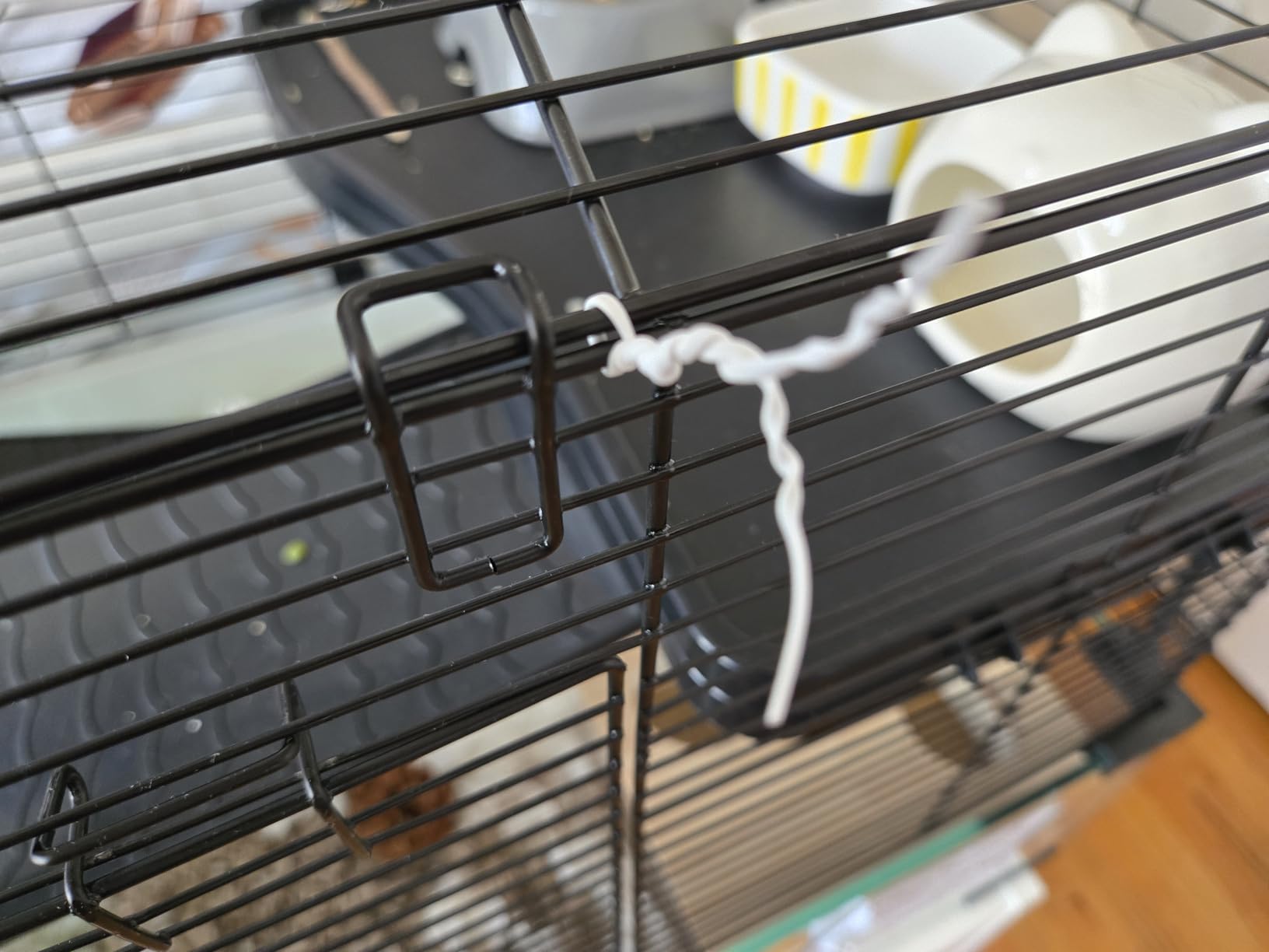VEVOR Hamster Cage, 360 Viewing Transparent Hamster Habitats, Small Animal Cage customer photo 2
