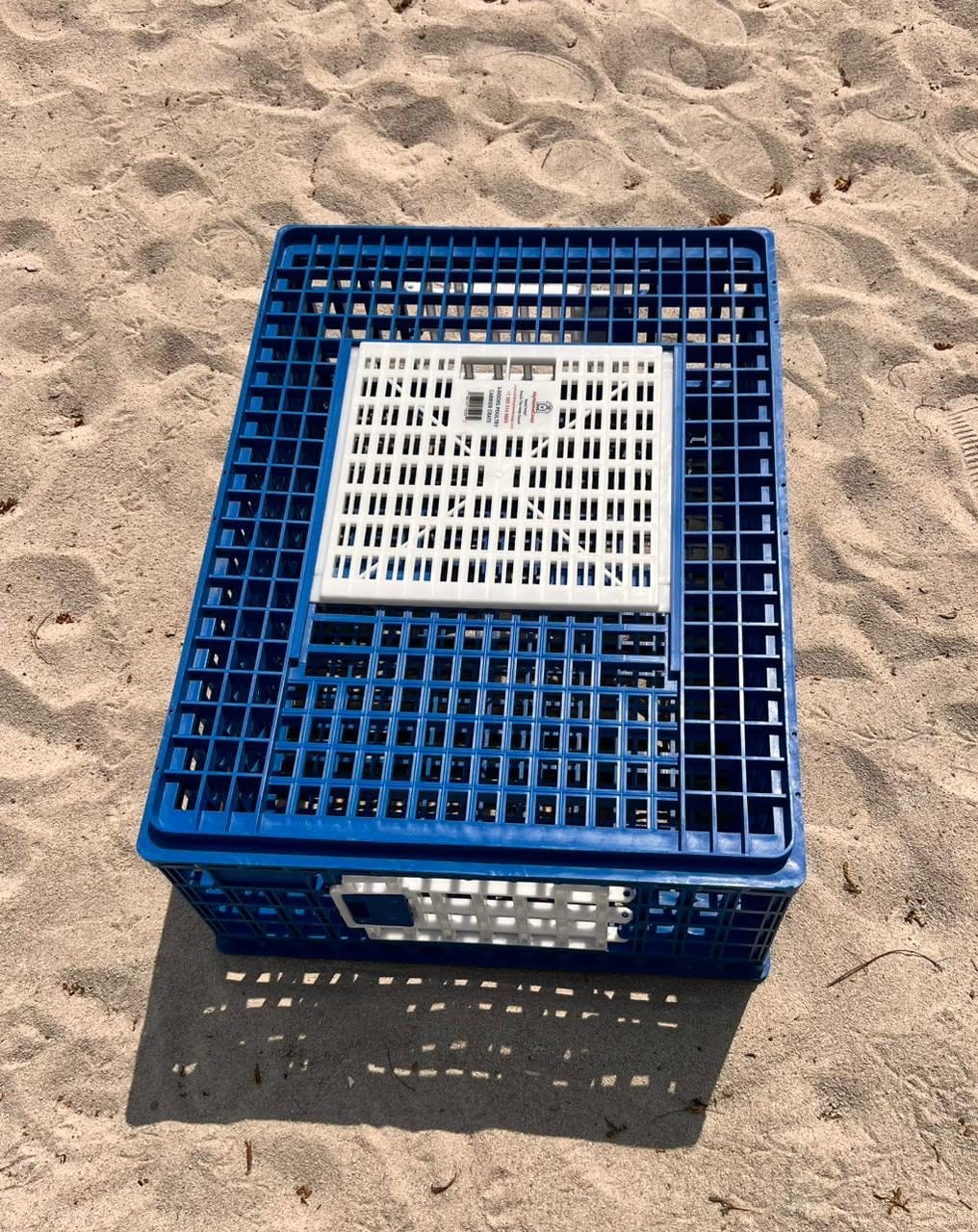 Poultry Carrier Crate 3 Doors with a Mess-Free Protective Pad, Durable Poultry Transport Cage for Chickens, Quail, Birds, Rabbits, Ducks customer photo 1