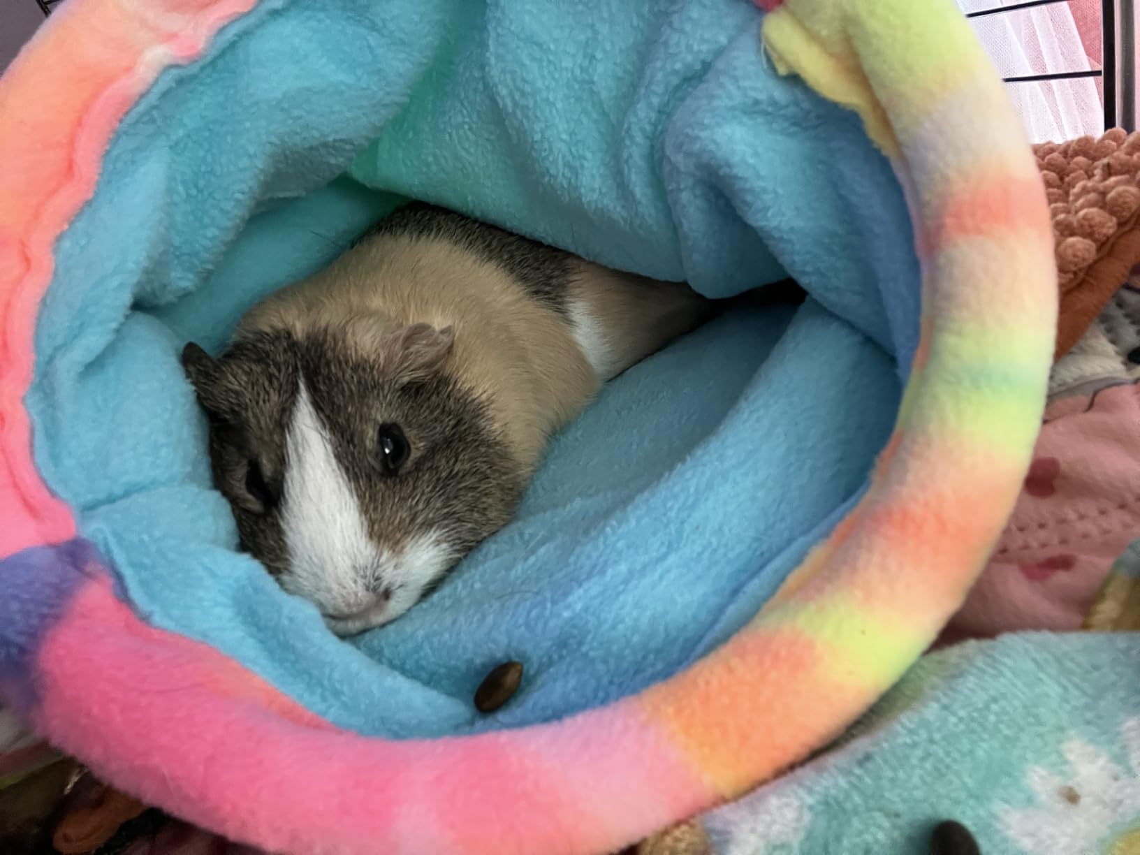 2 Pack Guinea Pig Snuggle Sack Soft Fleece Large Hideout Ferret Cozy Cave Hamster Sleeping Bag Small Animal Bed for Rabbit Bunny Chinchillas Rat Squirrel Hedgehog Cage Accessories (2 Pack, Large) customer photo 2