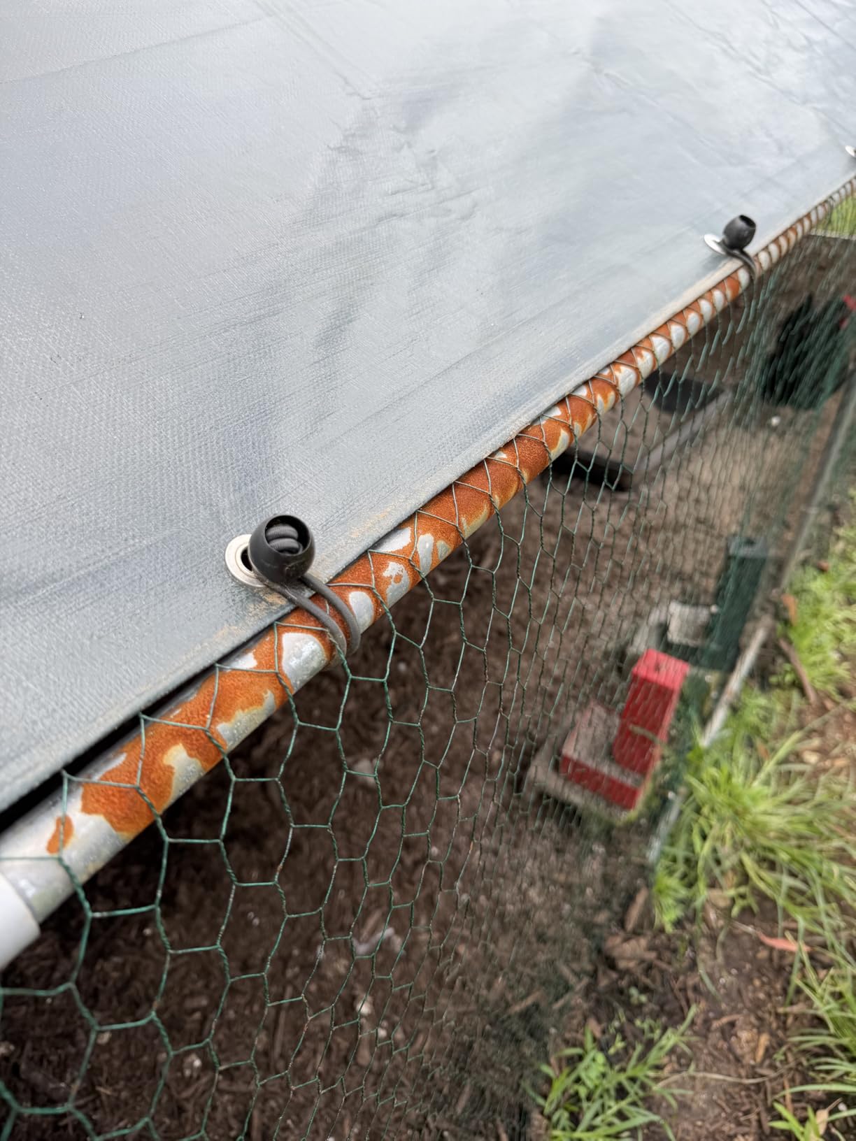 VEVOR Metal Chicken Coop, 6.56x6.56x6.56ft Large Walk-in Chicken Runs with Cover, Spire Roof Hen House Enclosure with Security Lock, Outdoor Duck Rabbit Cage Poultry Pen for Backyard, Farm, Yard customer photo 1