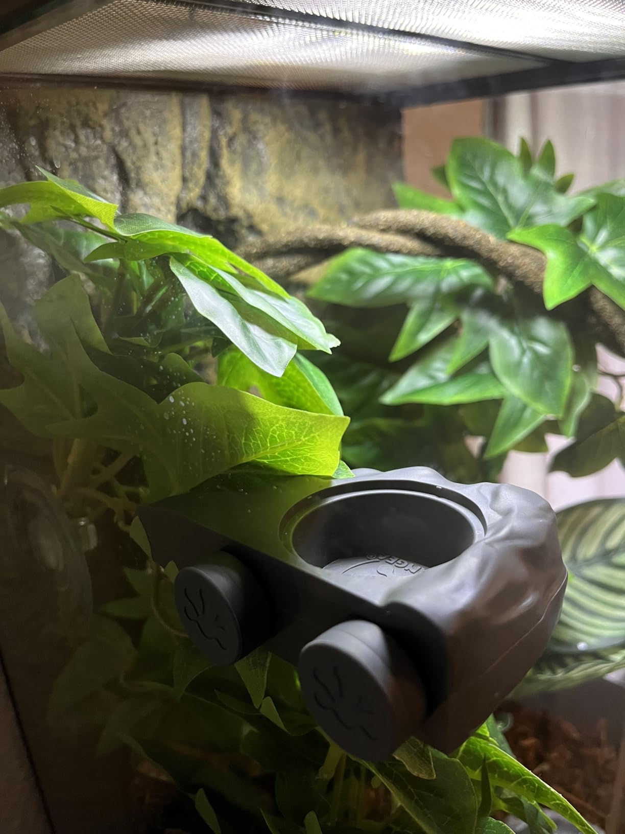 Pangea Silicone Gecko Feeding Ledge - Magnetic Mini Food Dish, Black | 4.125