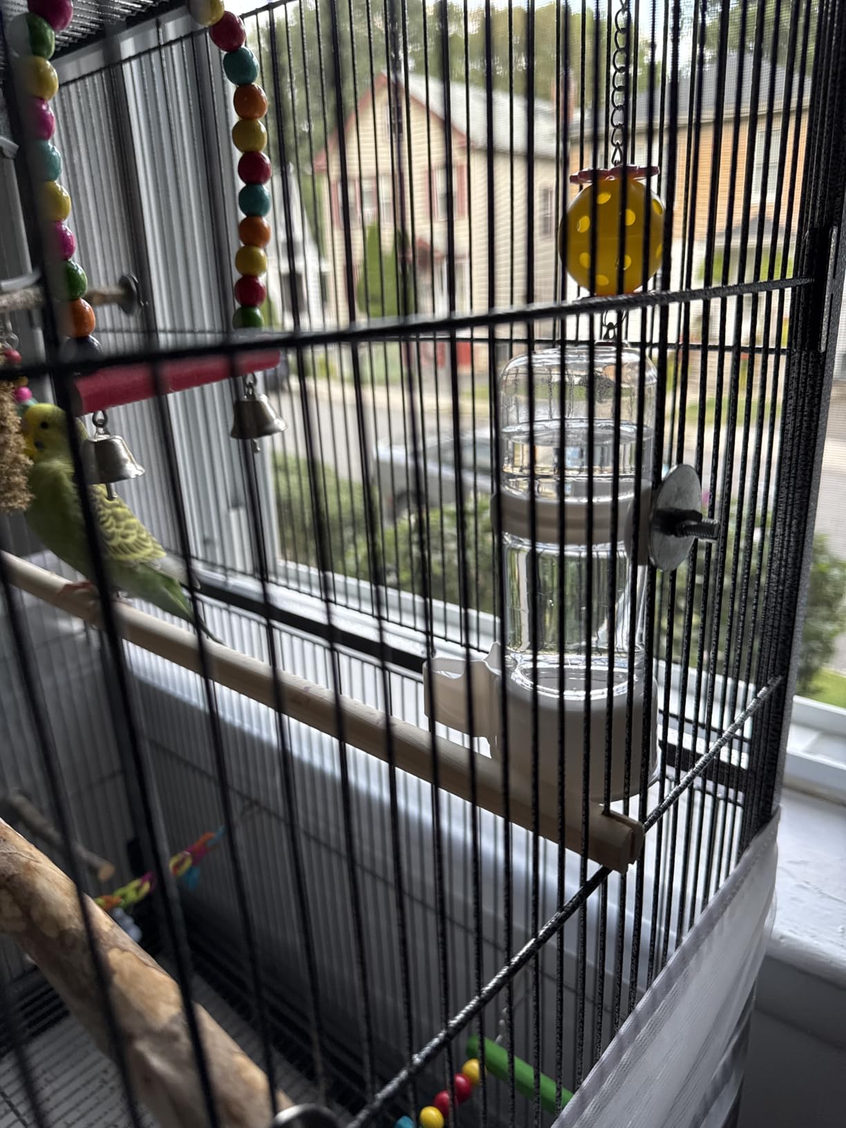 Pawfly Bird Water Dispenser, Automatic Water Feeder, Plastic Cage Water Dispenser, White Parrot Waterer for Small Parakeet Cockatiel Budgie Lovebirds (Not Fit for Food Feeding) customer photo 1