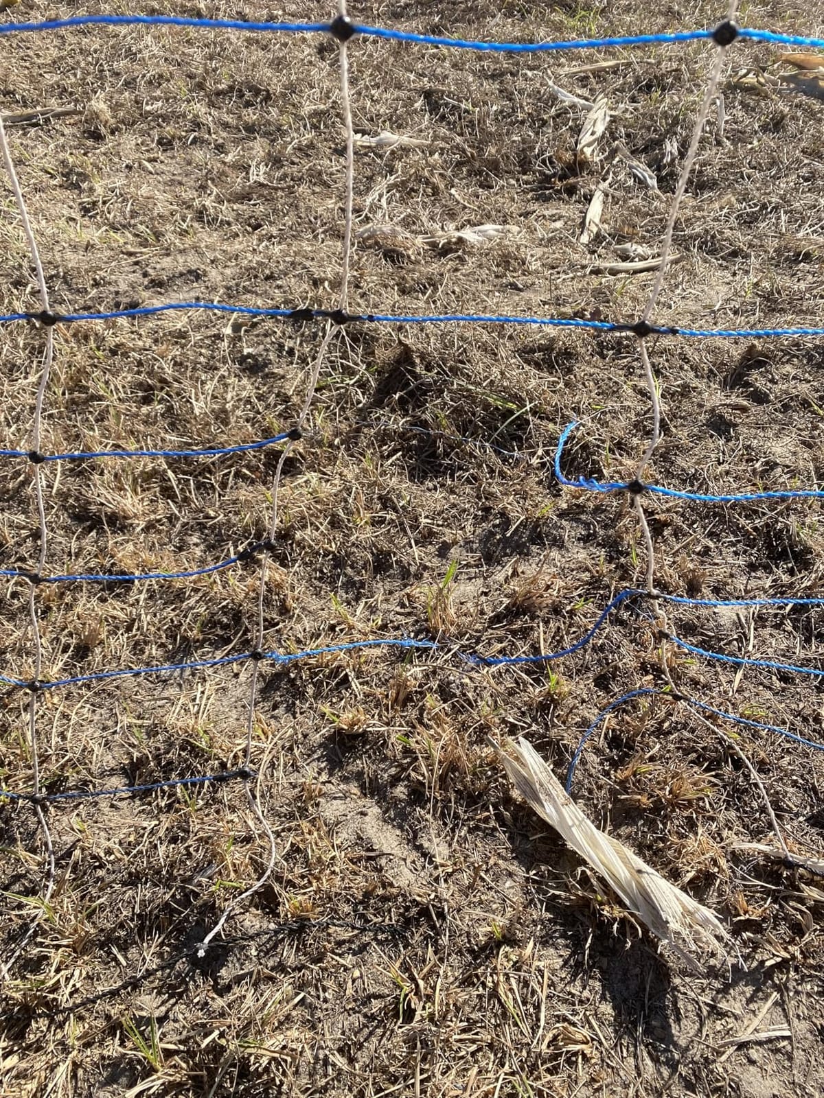 PPOLB Highly Visible Blue Electric Fence Netting, 49.6