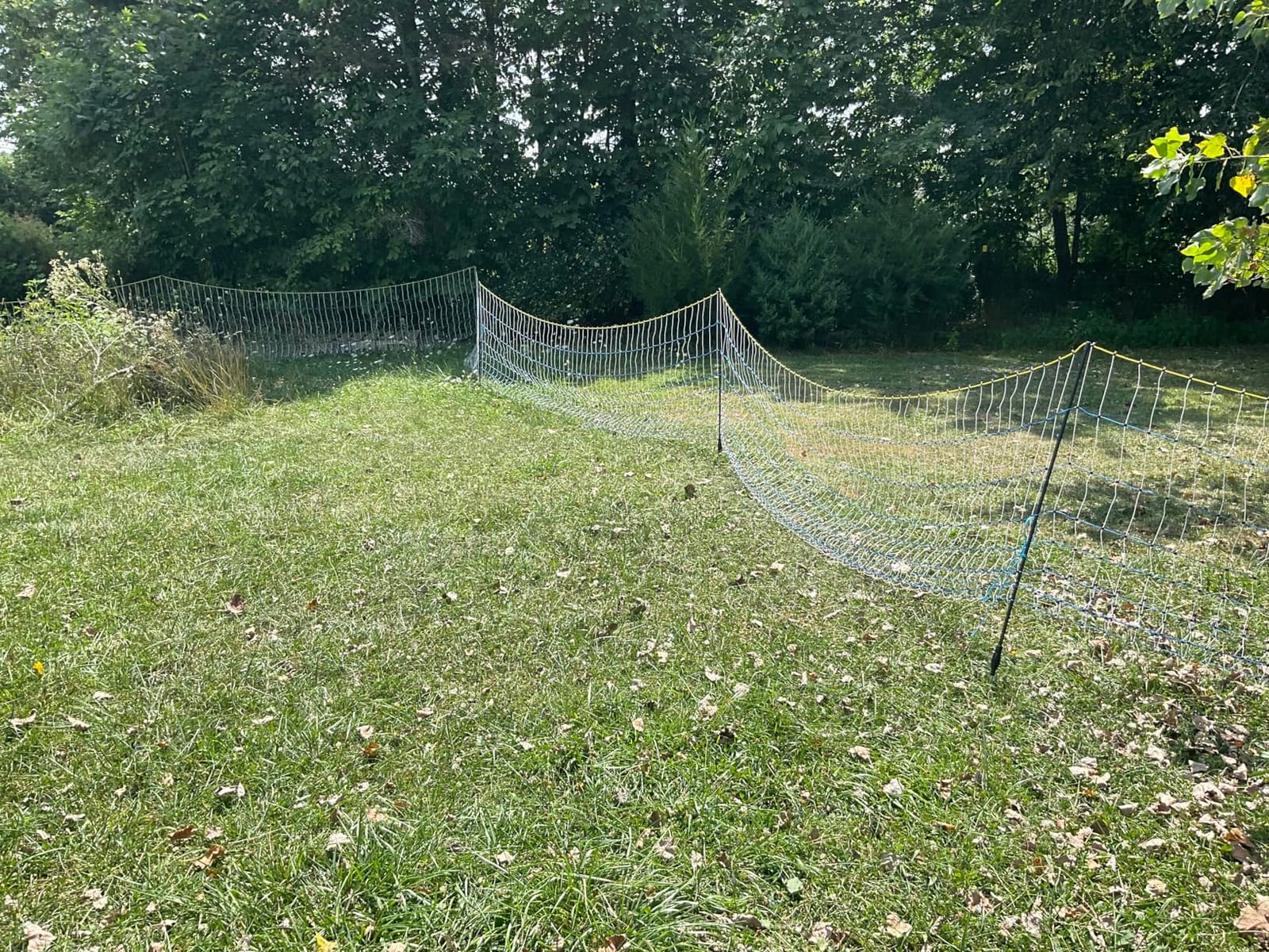 PPOLB Highly Visible Blue Electric Fence Netting, 49.6