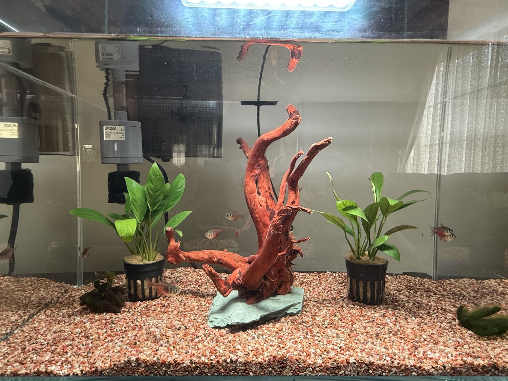 Vimvins 10 Gallon Glass Small Fish Tank with Filter Light and Lid, Aquarium Starter Kit customer photo 1