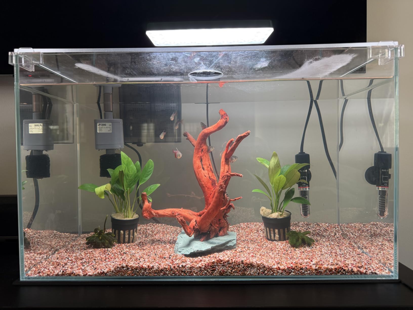 Vimvins 10 Gallon Glass Small Fish Tank with Filter Light and Lid, Aquarium Starter Kit customer photo 2