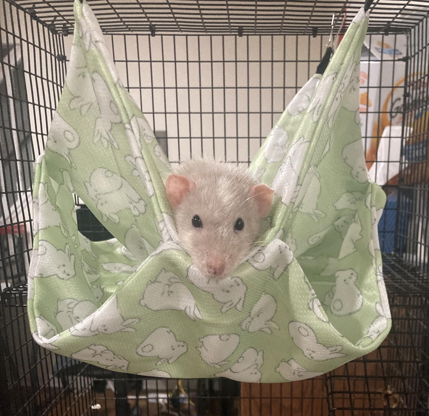 Ferret Rat Summer Hammock Double-Layer Guinea Pig Cooling Bed Sugar Glider Hamster Hanging Hammock Accessories for Small Animals Chinchilla Parrot Squirrel (Green, Large) customer photo 1