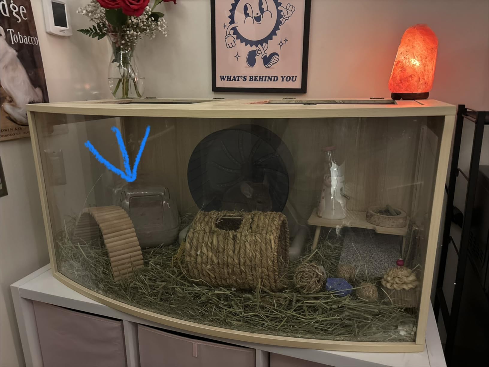 Hamster Cage Chew Proof Wood, Hamsters Enclosure Openable Top with Curved Design, Waterproof Small Animals Cage with Acrylic Sheets for Gerbils, Hamster Habitat (40 Inches) customer photo 1