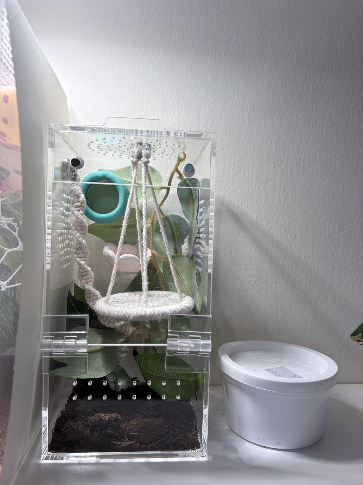 Pre-Assembled Jumping Spider Enclosure, All-Side Ventilation | 3.5