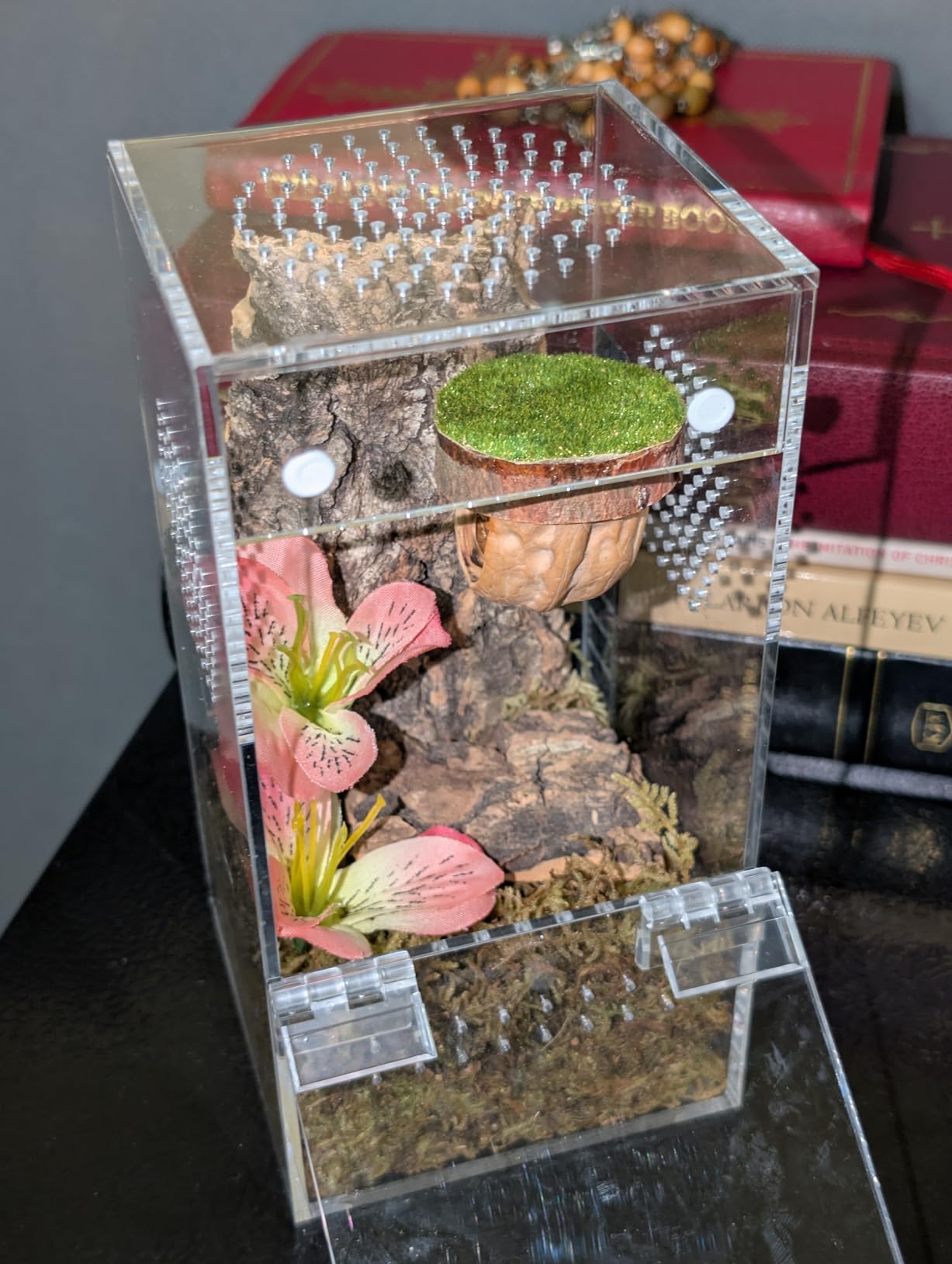 Pre-Assembled Jumping Spider Enclosure, All-Side Ventilation | 3.5