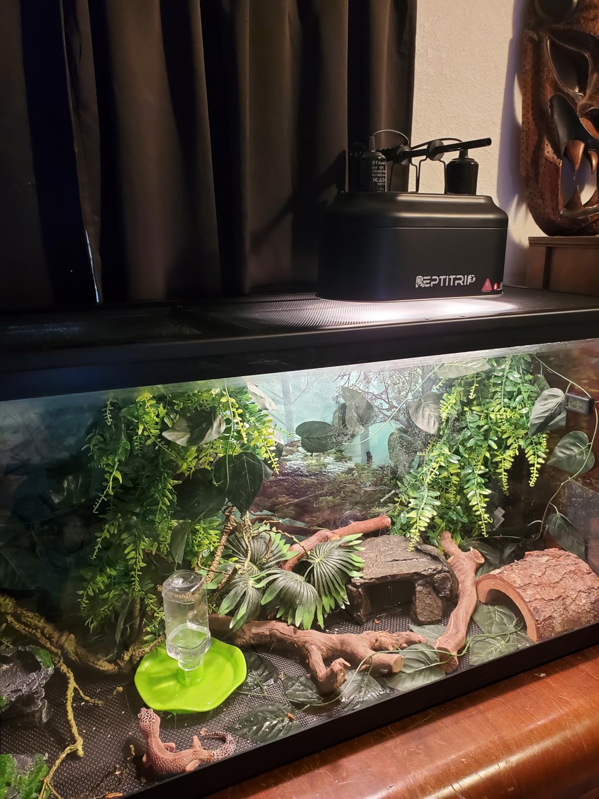 Dual Reptile Light Fixture with 100W Daytime Heat Bulb & 100W Nighttime Ceramic Heat Emitter, 2 Independent Switches, Reptile Heat Lamp Combo Pack - No UVB customer photo 2