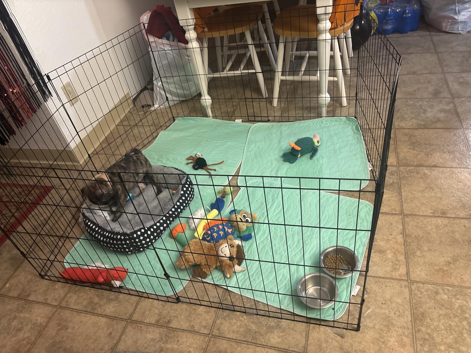 FDW | Dog Playpen | 24
