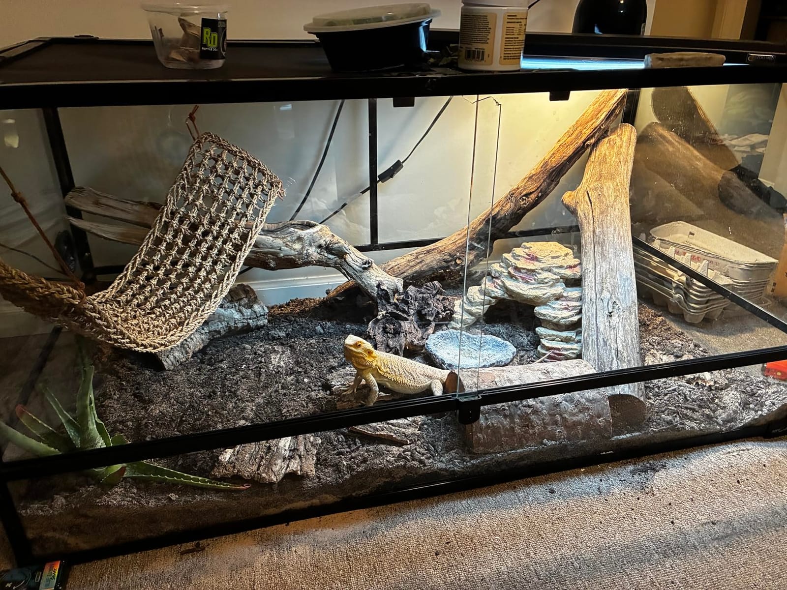 IMIKEYA 4Pcs Reptile Tree Bark Reptile Hides: Natural Wood Cork Bark Gecko Hide Small Climbing Barks Terrarium Decor Lizard Geckos Tortoise Birdcage Tank Accessories customer photo 1