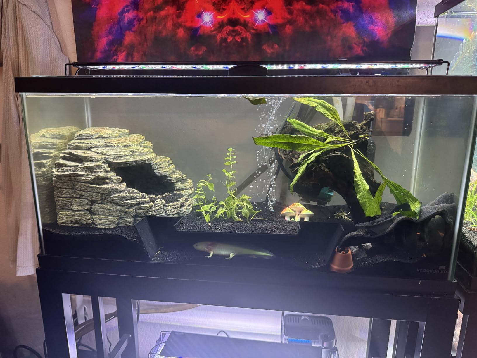 Extra Large Aquarium Fish Tunnel Decoration | Cave Hide Ideal for Fish Axolotls and Small Reptiles | Under Gravel Hideout customer photo 1