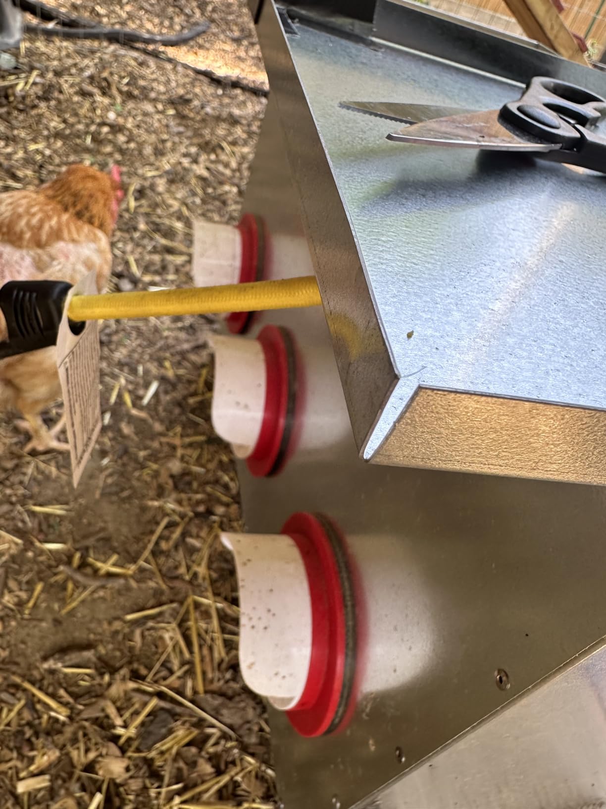 RentACoop 65 lb Large Capacity Chicken Feeder with 6 Ports, Adjustable Legs customer photo 2