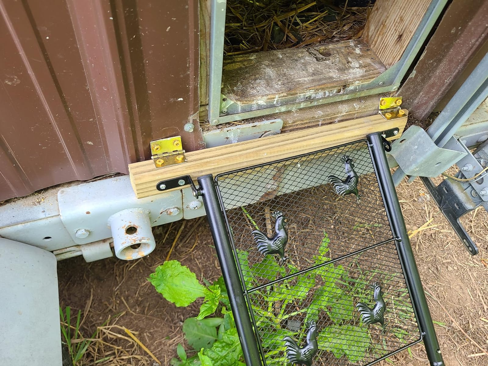 Chicken Coop Ramp, Chicken Ladder & Coop Accessories, Ladder Length Adjustable for Henhouse, Coop Steps for Feet Problem or Cannot Fly Chickens, Heavy Duty Sturdy,Corrosion-Resistant, and Waterproof customer photo 2