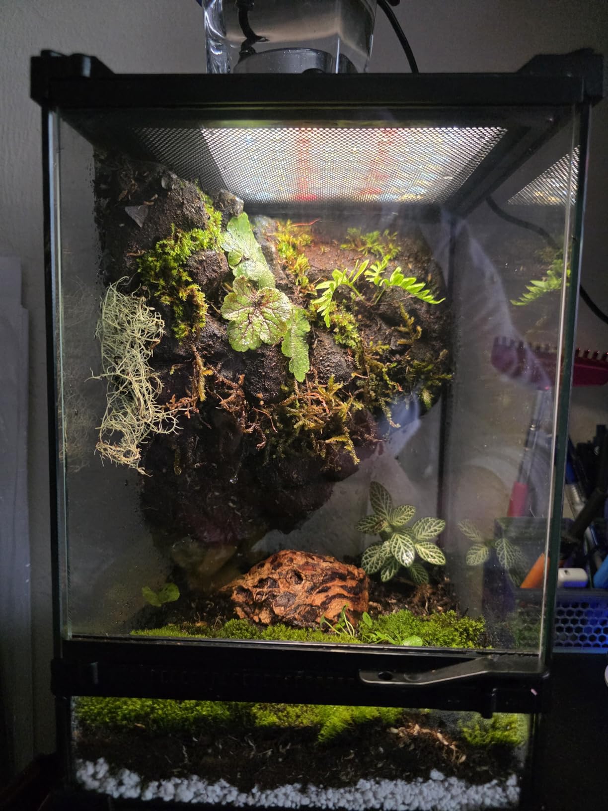 Vertical Glass Reptile Enclosure Terrarium, 10