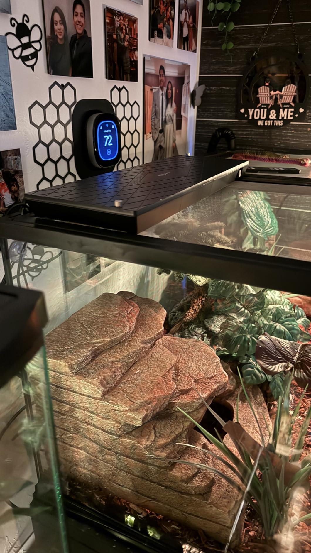 REPTI ZOO Reptile Heat Panel Adjustable Temperature Reptile Heating Plate, Mountable Under Lid, for Hermit Crabs/Leopard Geckos/Turtles/Snakes/Lizards customer photo 1