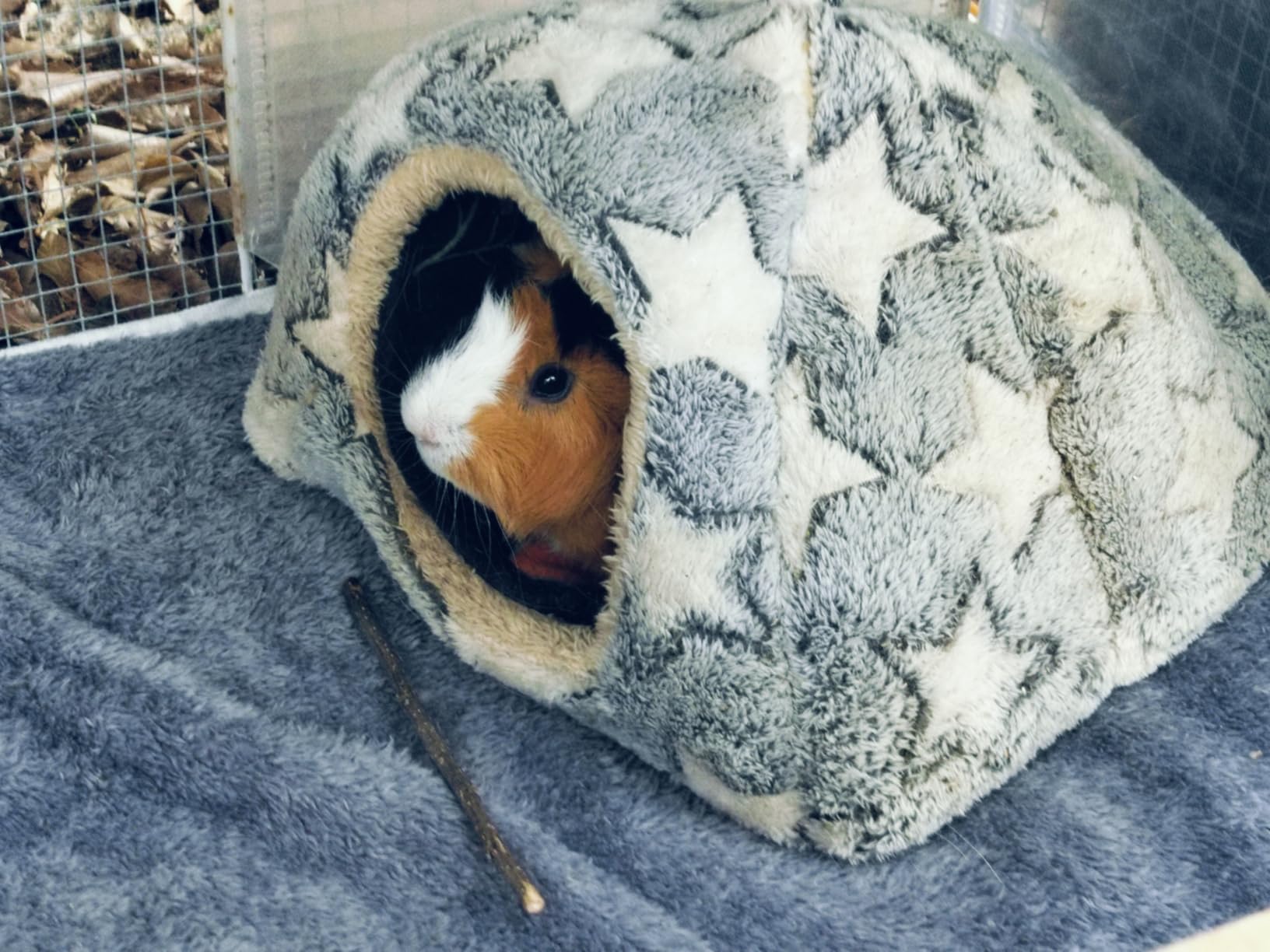 Homimp 2 Pack Guinea Pig Bed, Waterproof Reusable Small Animal Bed, Super Absorbent Pee Pad Mat for Rabbit Bunny Hamster Rat Hedgehog Chinchilla, Washable Fleece Cage Liners, Blue 24