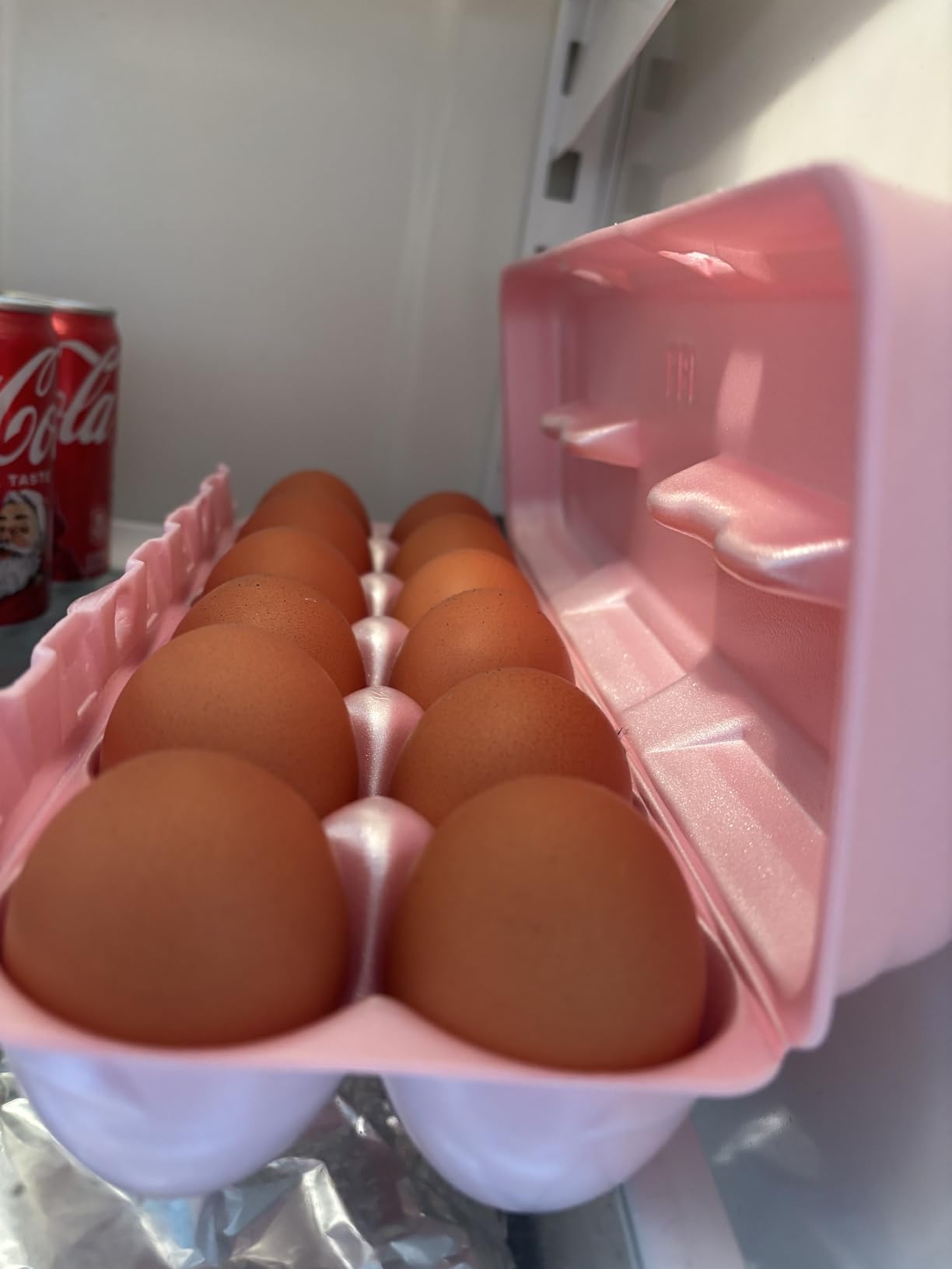 Foam Egg Cartons 25 Pack - Green - Made in USA - Reusable 12-Egg Cartons for Chicken Eggs customer photo 2