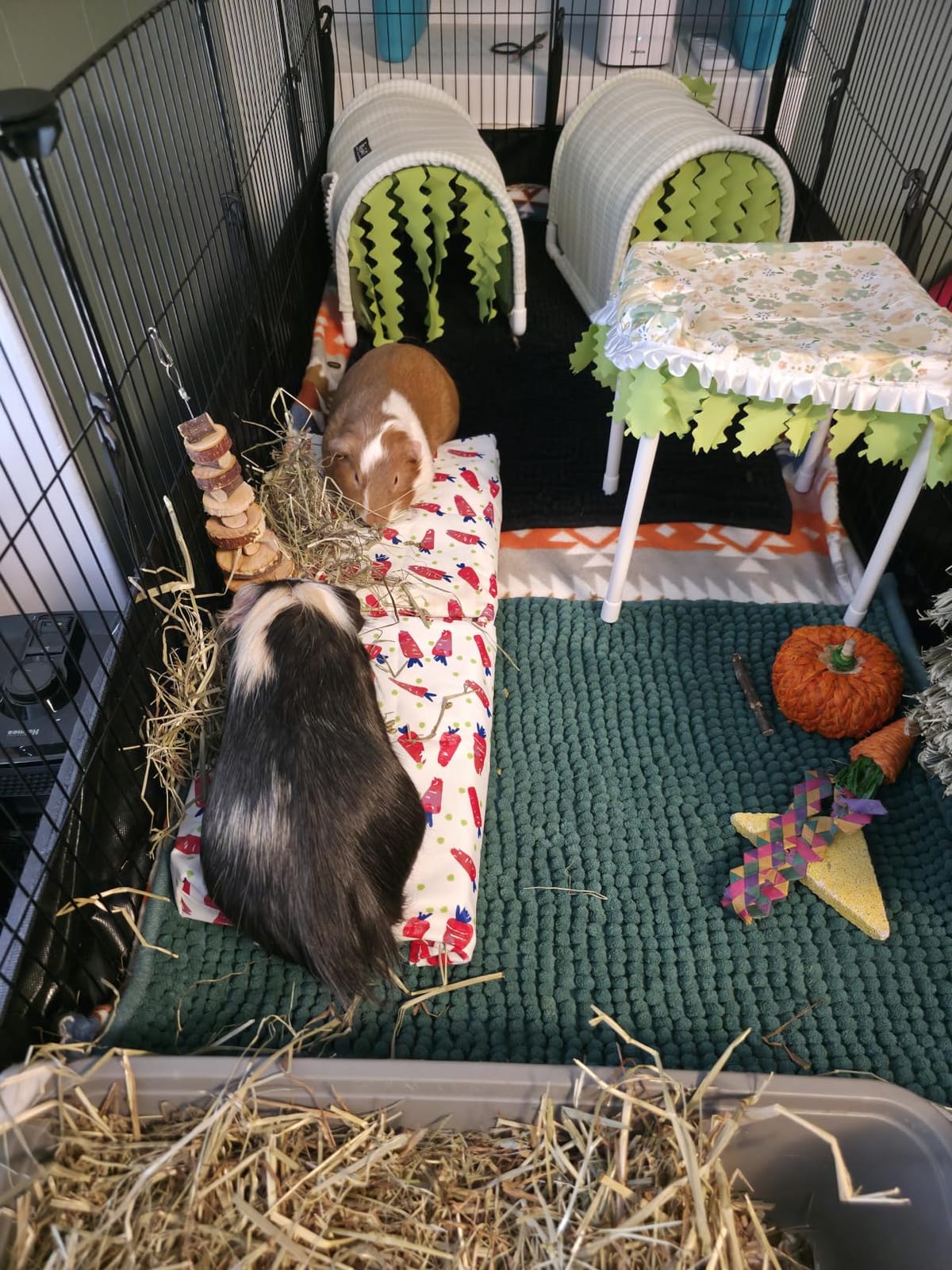 Hamiledyi Rabbit Cooling Pouch with Ice Pack - No Condensation Pad for Bunny Cage Accessories, Washable Cooling Mat for Small Animals (Ferret, Guinea Pig, Chinchilla) in Summer customer photo 2
