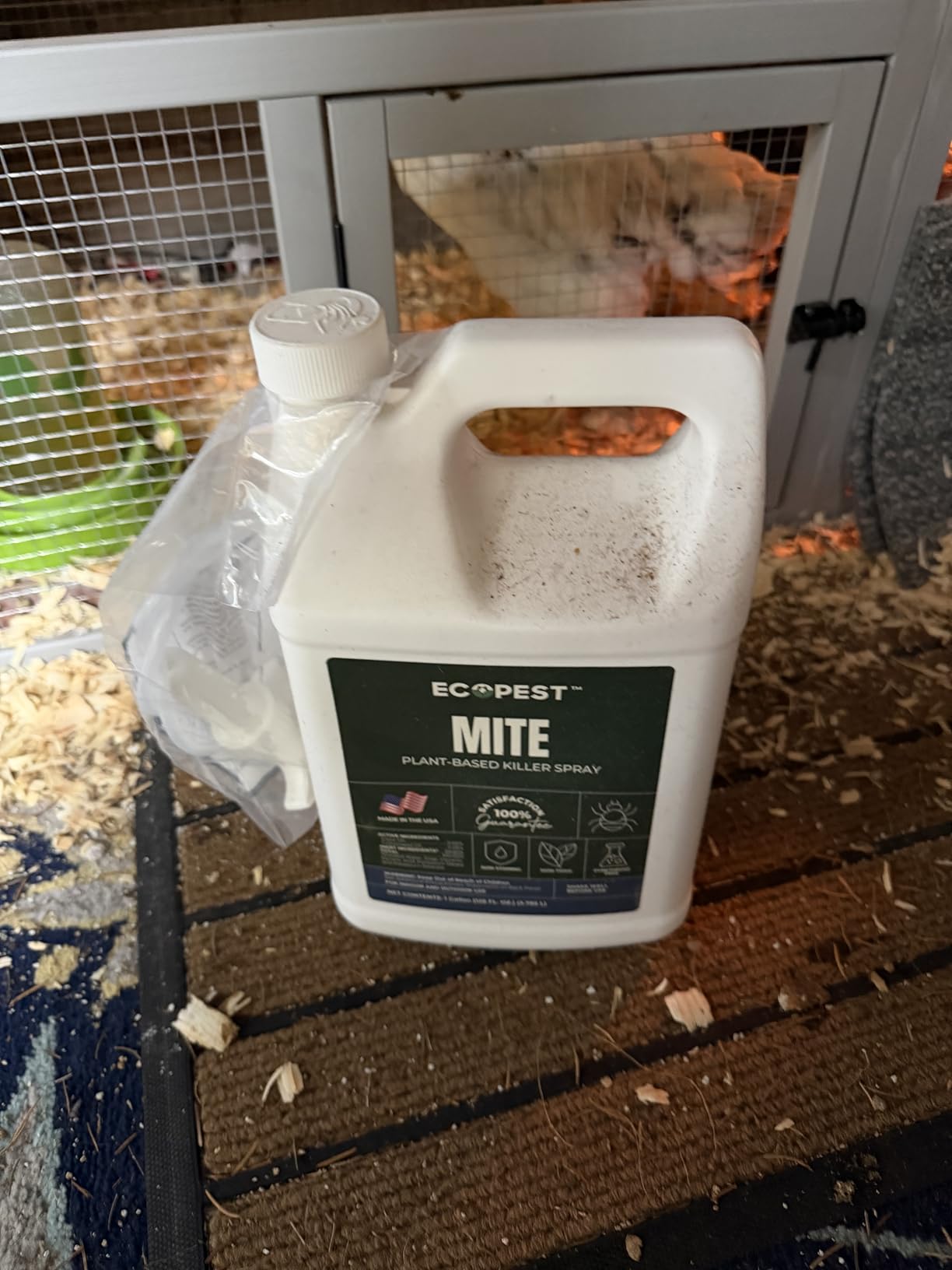Mite Spray - Natural Killer for Dust, Bird, Spider & Other Mites | Bedding & Furniture-Safe | Treatment for Chickens, Poultry, Dogs, Cats, Reptiles & Other Pets | Indoor & Outdoor (22 oz) customer photo 2