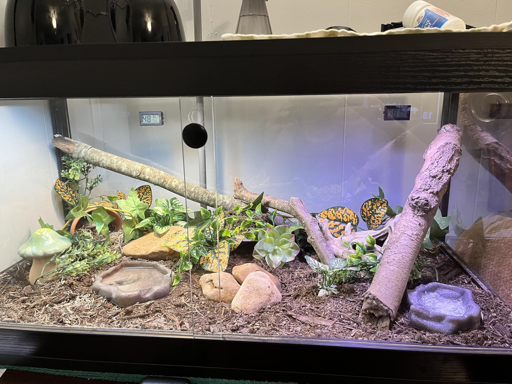 PROLEE Reptile Tank, 82 Gallon Beard Dragon Tank, Tempered Glass Reptile Encloure and Snake Tank with Locking Design for Lizard,Gecko,Chameleon (48