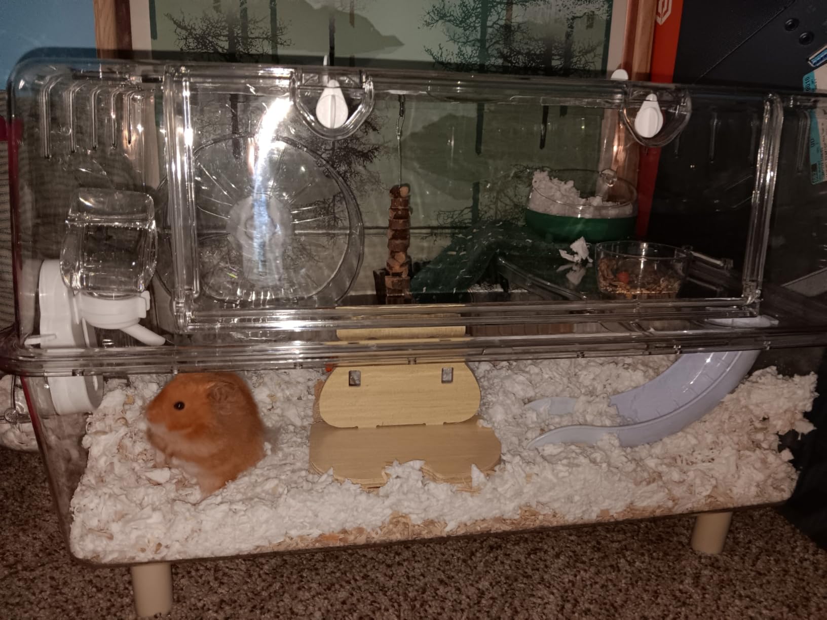 Acrylic Hamster Cage with All Accessories, Dwarf Hamster Cage with Stand, Syrian Mouse Cage for Pet Mice, Rat Cage for Hamster, Succulent Style Hamster House (20''L*11.5''W*10.5''H) customer photo 1