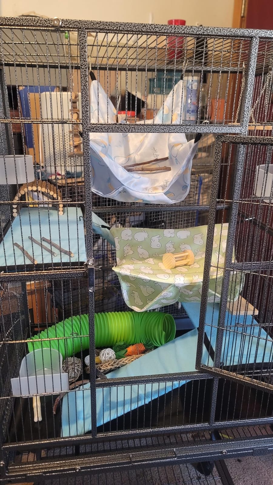 Nuogo 4 Pcs Guinea Pig Rat Hammock for Cage, Pale Color, Summer | Ferret Hanging Hammock, Double Sided, Guinea Pig Accessories for Small Animals, Squirrel, Chinchilla, Parrot, Sugar Glider customer photo 1