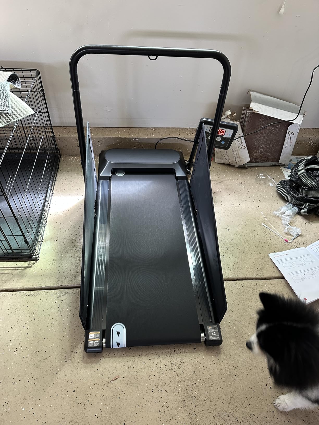 Petbobi Dog Treadmill for Small & Medium Dogs Up to 265 lbs Indoor Exercise | Quiet motor, 360° rotatable display, remote control & wheels, foldable design, fitness & weight management, easy to assemble customer photo 2
