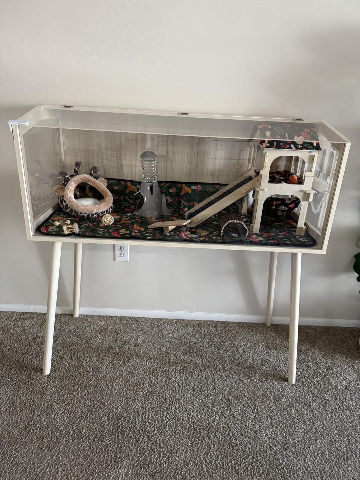 PROLEE Hamster Cage Wooden Chew Proof, Extra Large Mice and Rat Habitat Openable Top with Acrylic Sheets Solid Built Small Animal Cage with Leg Stands, 24 Inch Long customer photo 1
