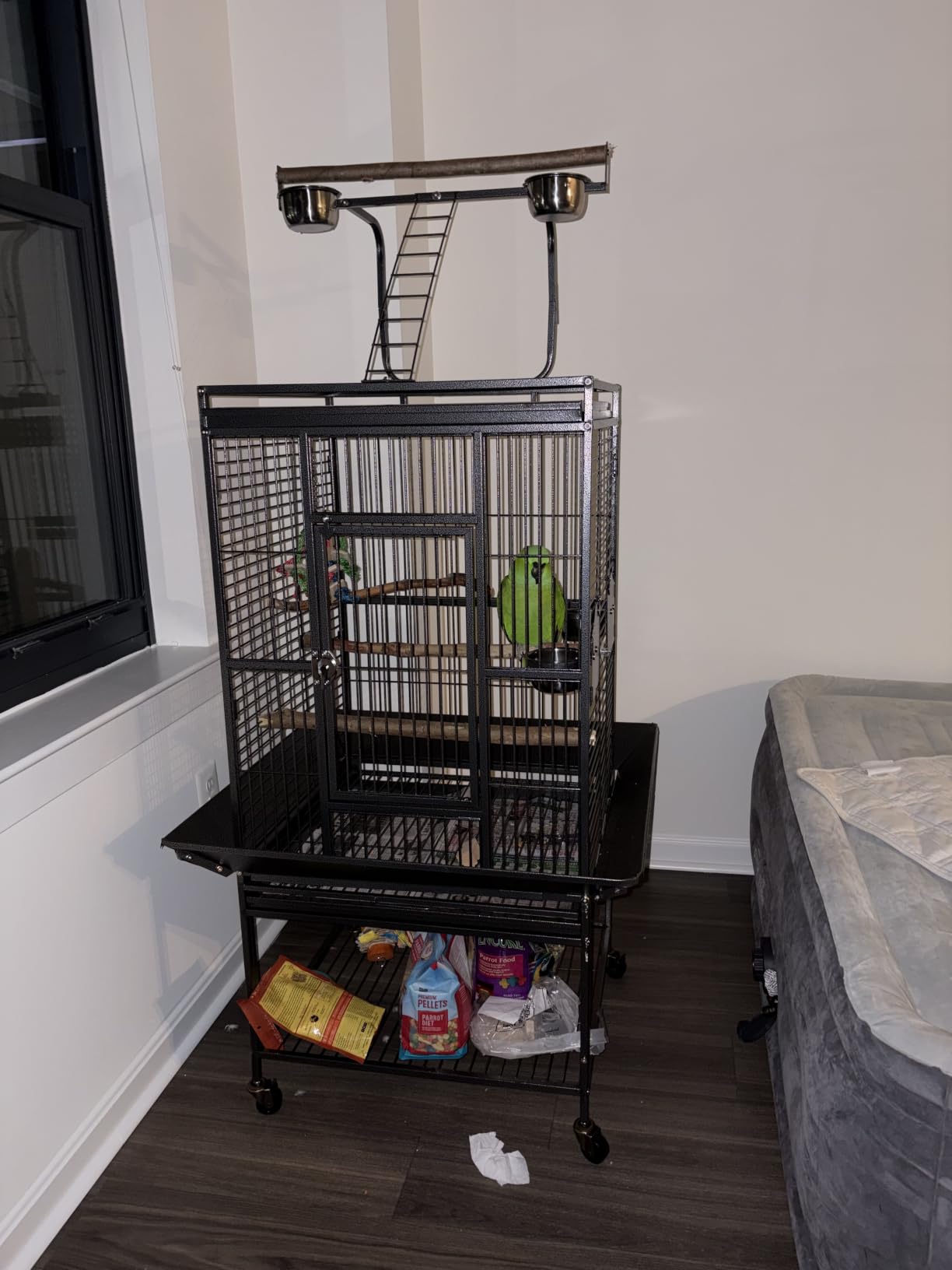 X-Large Elegant and Durable Wrought Iron Play Ground Perch Stand Top Climbing Ladder Bird Parrot Rolling Metal Cage with Around Seed Guard Storage Shelf On Heavy Duty Lockable Rolling Wheels customer photo 1