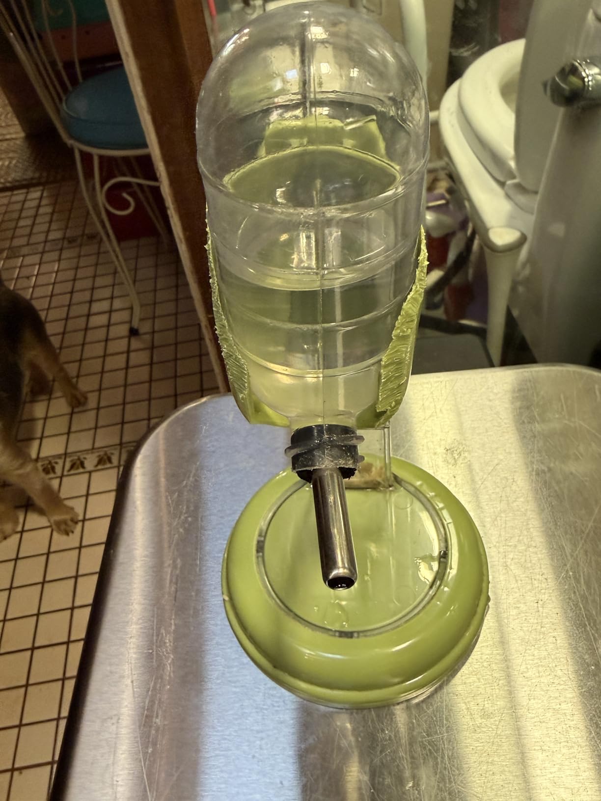 Hamster Water Bottle with Stand, 4oz Water Dispenser for Syrian Dwarf Hamsters Gerbils Mice Rats Degus (Gray) customer photo 1
