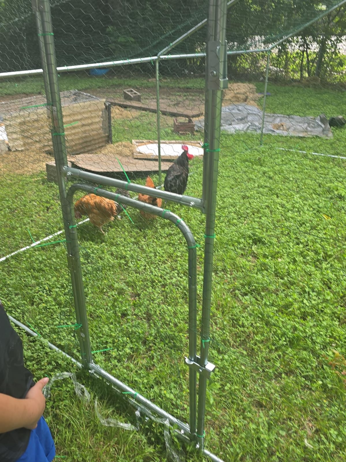 UDPATIO Large Metal Chicken Coop Run House, Walk in Heavy Duty Outdoor Enclosure w/Cover for 30+ Chickens, Ducks, Rabbits - Predator Proof Poultry Pen Habitat Hutch | Double Feed Door UV-Resistant Cover Galvanized Frame Outdoor Cage customer photo 1