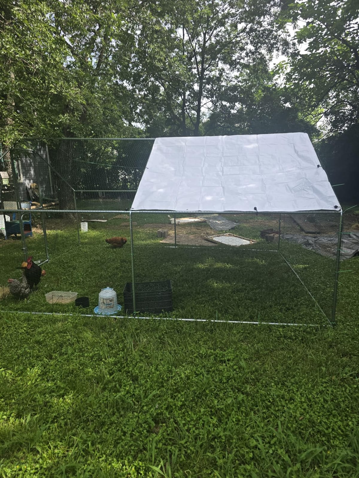 UDPATIO Large Metal Chicken Coop Run House, Walk in Heavy Duty Outdoor Enclosure w/Cover for 30+ Chickens, Ducks, Rabbits - Predator Proof Poultry Pen Habitat Hutch | Double Feed Door UV-Resistant Cover Galvanized Frame Outdoor Cage customer photo 2