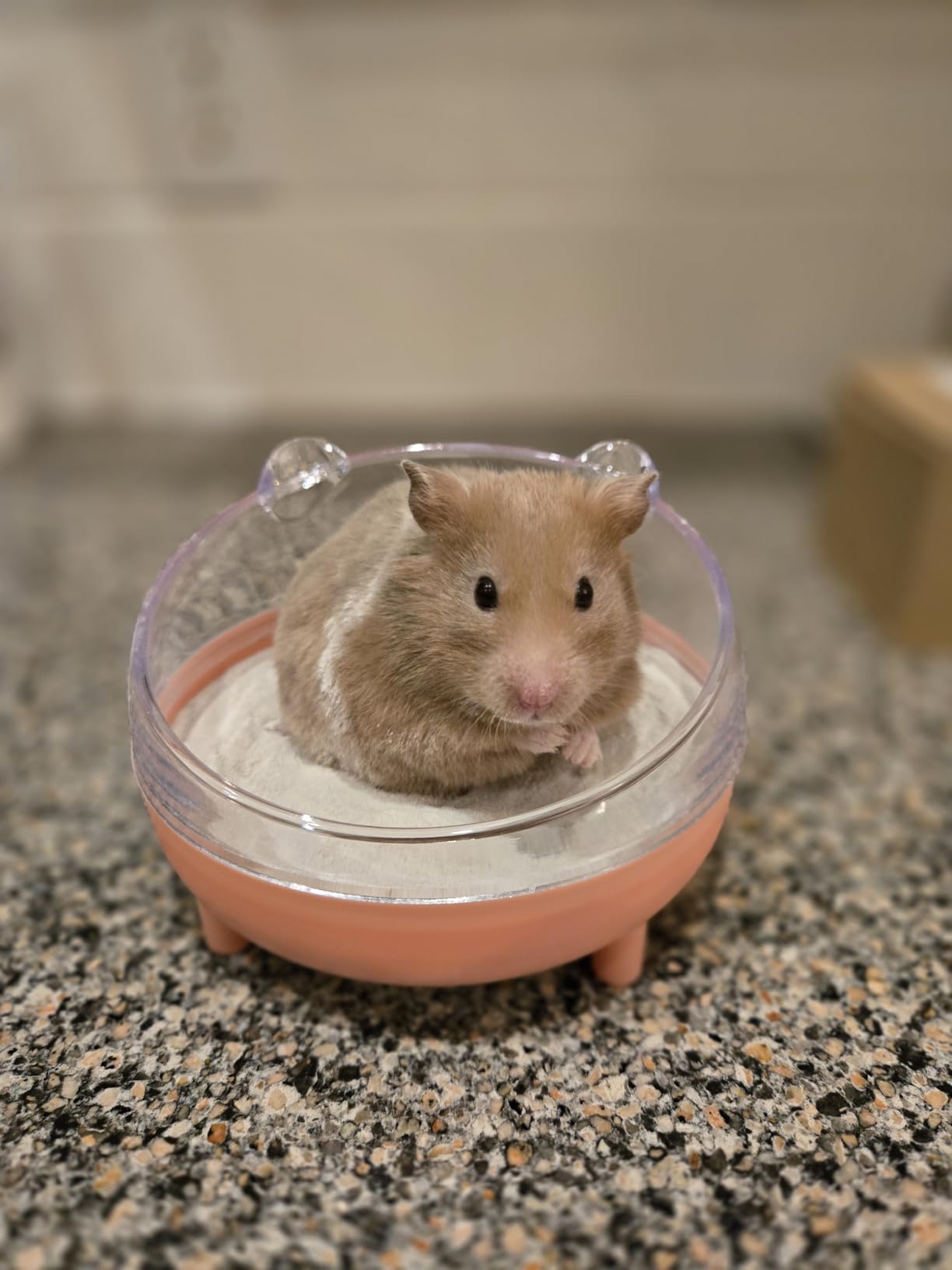 Pawfly Hamster Sand Bath Container, Hamster Sand Bath Box, Hamster Bathtub, Hamster Bathroom, Hamster Toilet, Plastic Dust Bath for Dwarf Hamsters, Syrian Hamsters, Mice, Gerbils & Small Animal, Pink customer photo 2