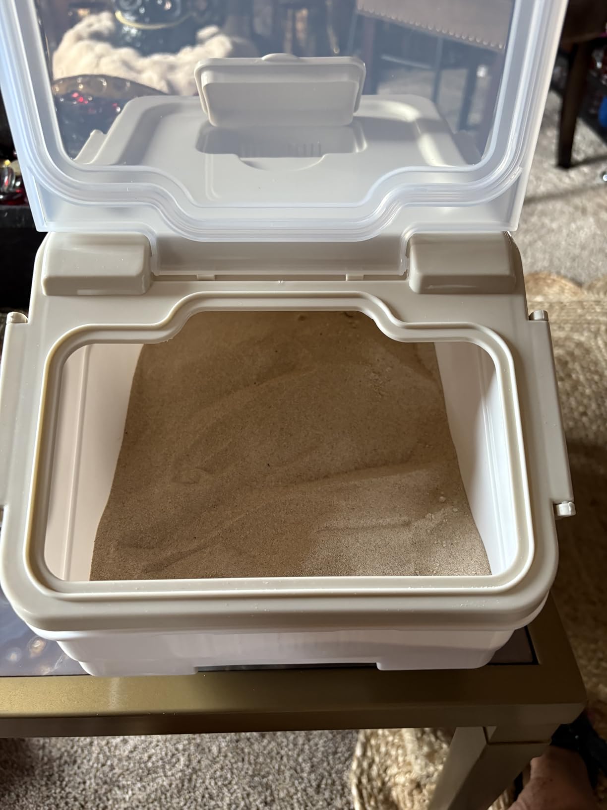Chinchilla Dust Bath Container Kit, Extra Large Plastic Bath House | Chinchilla Dust Bath House, Sand Bath Use, Clear Lid for Viewing, XL Tub Helps Reduce Spills, Easy-Clean Plastic, Small Pets customer photo 2