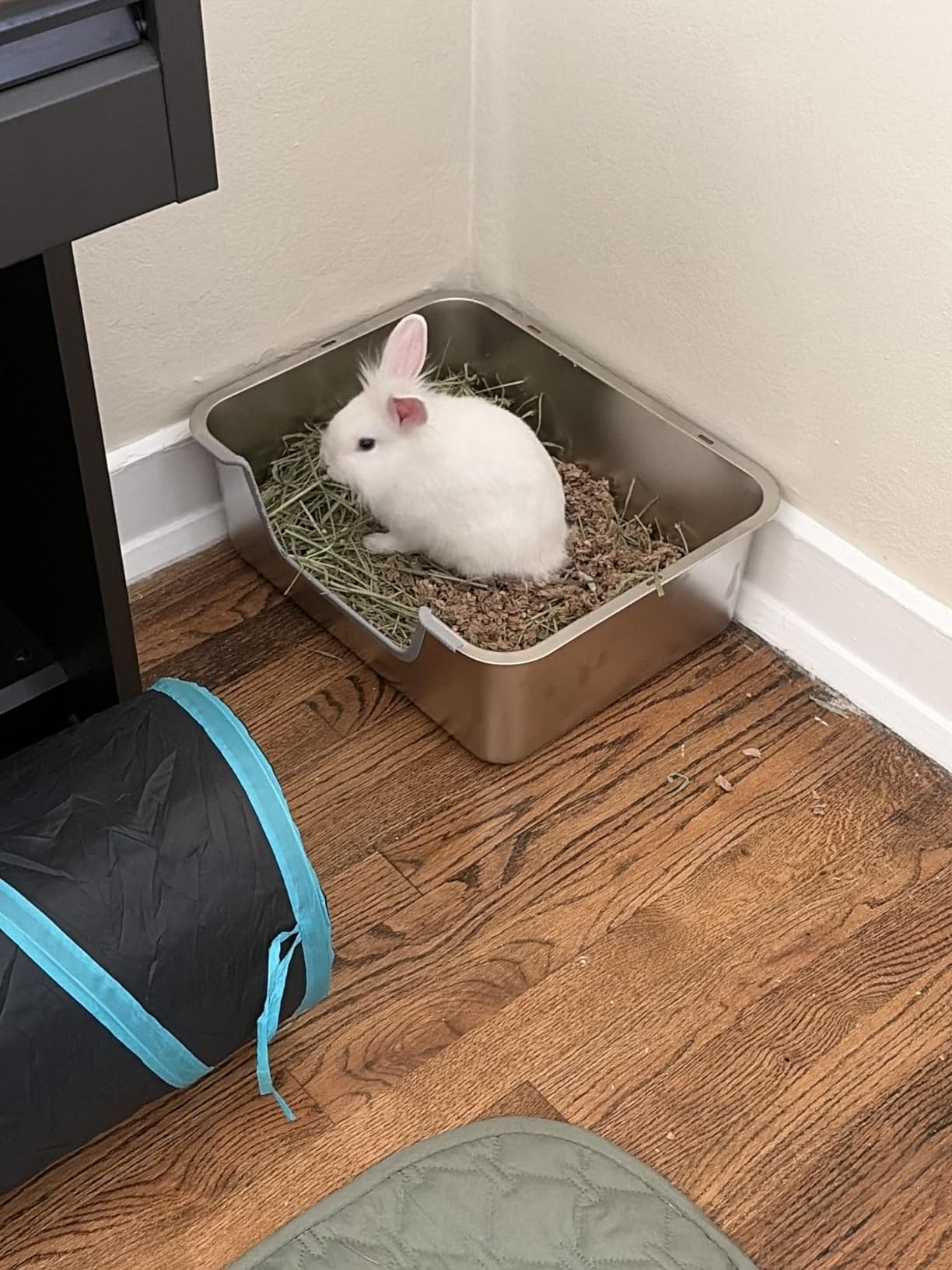 Stainless Steel Rabbit Sifting Litter Box (M) customer photo 2