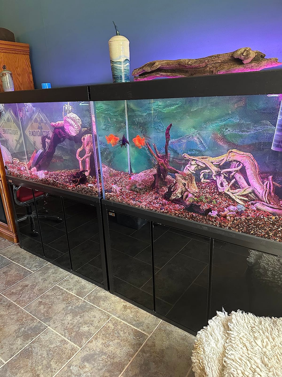 Aqua Dream 40 Gallon Freshwater Glass Aquarium with Aluminum Cabinet - All in One Fish Tank System with Sump Filtration Integrated Plumbing and LED Lighting in Black customer photo 2