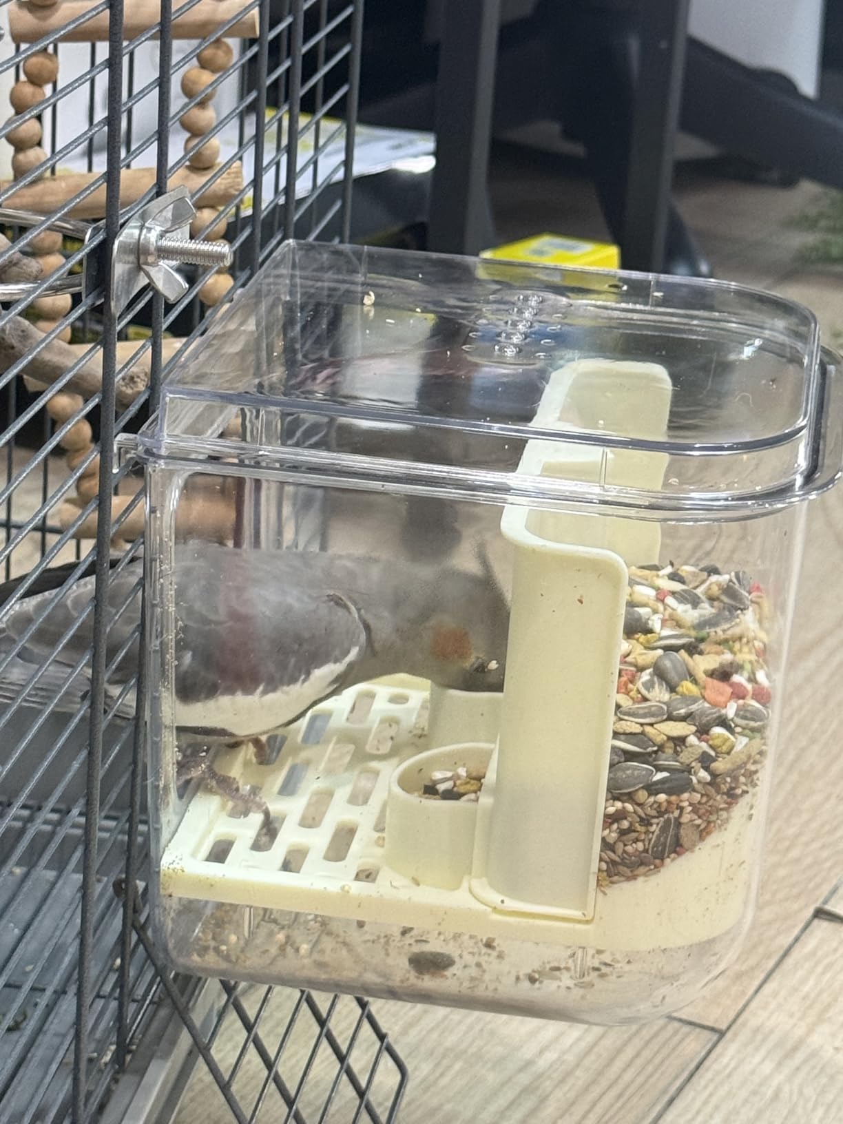No Mess Automatic Bird Feeder for Cage, Parakeet Seed Catcher, Food Container | Preventing Birdseed Husk Spillage, Gravity-Fed Feeding, High-Capacity, Versatile Feeder or Bath, Top-Loading for Refilling customer photo 2