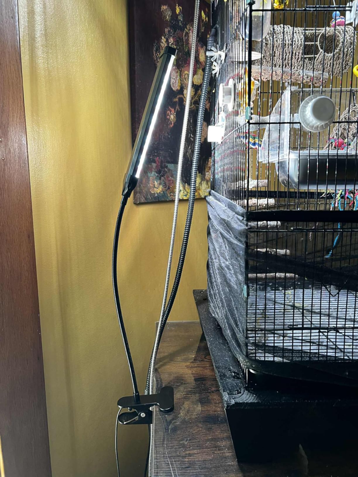 KINGYEENUO Full Spectrum LED Bird Cage Light, 10 Brightness Levels & 3/9/12H Timer - 105 LED Beads for Natural Environment Simulation, Safe for Hookbill Birds, Easy Install Lighting Fixture Combo Kit customer photo 1