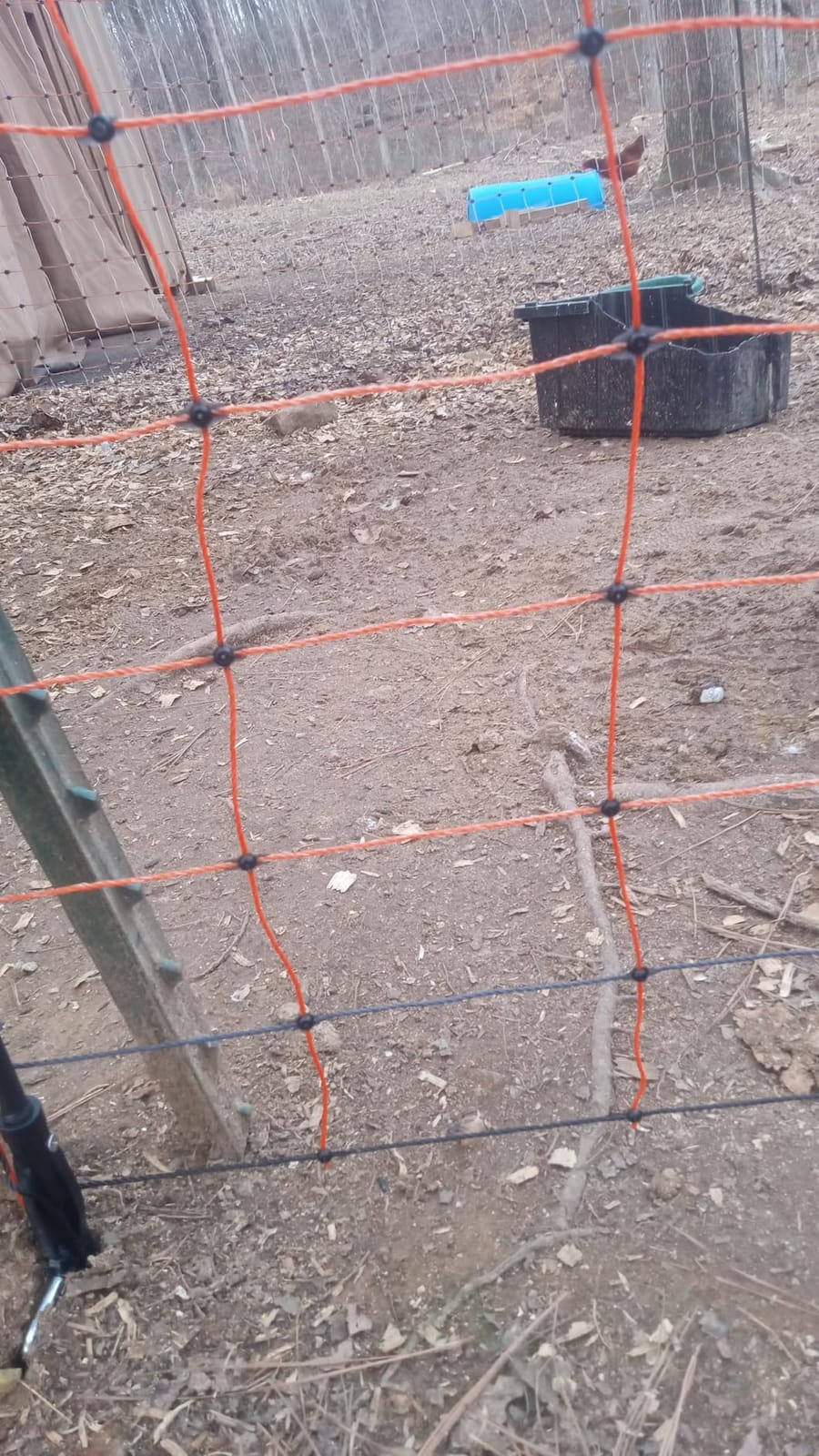 Electric Fence Netting 48
