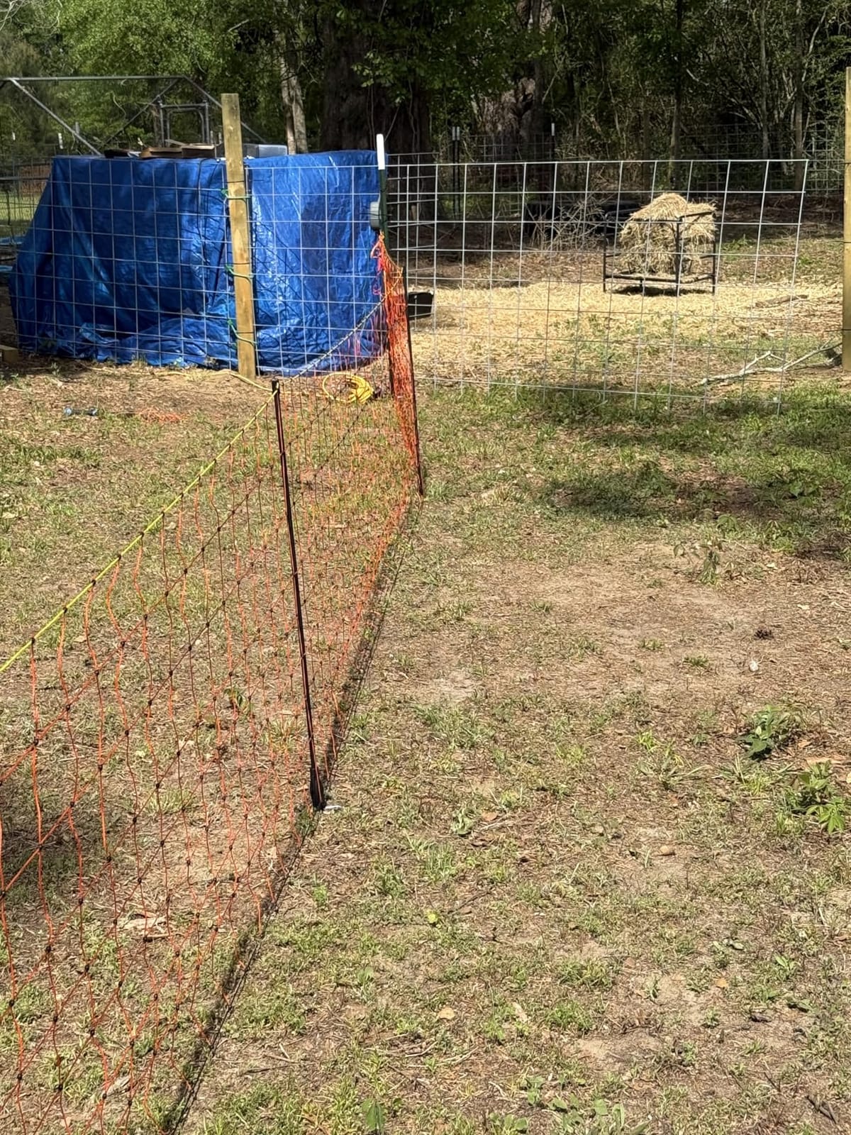 Electric Fence Netting 48