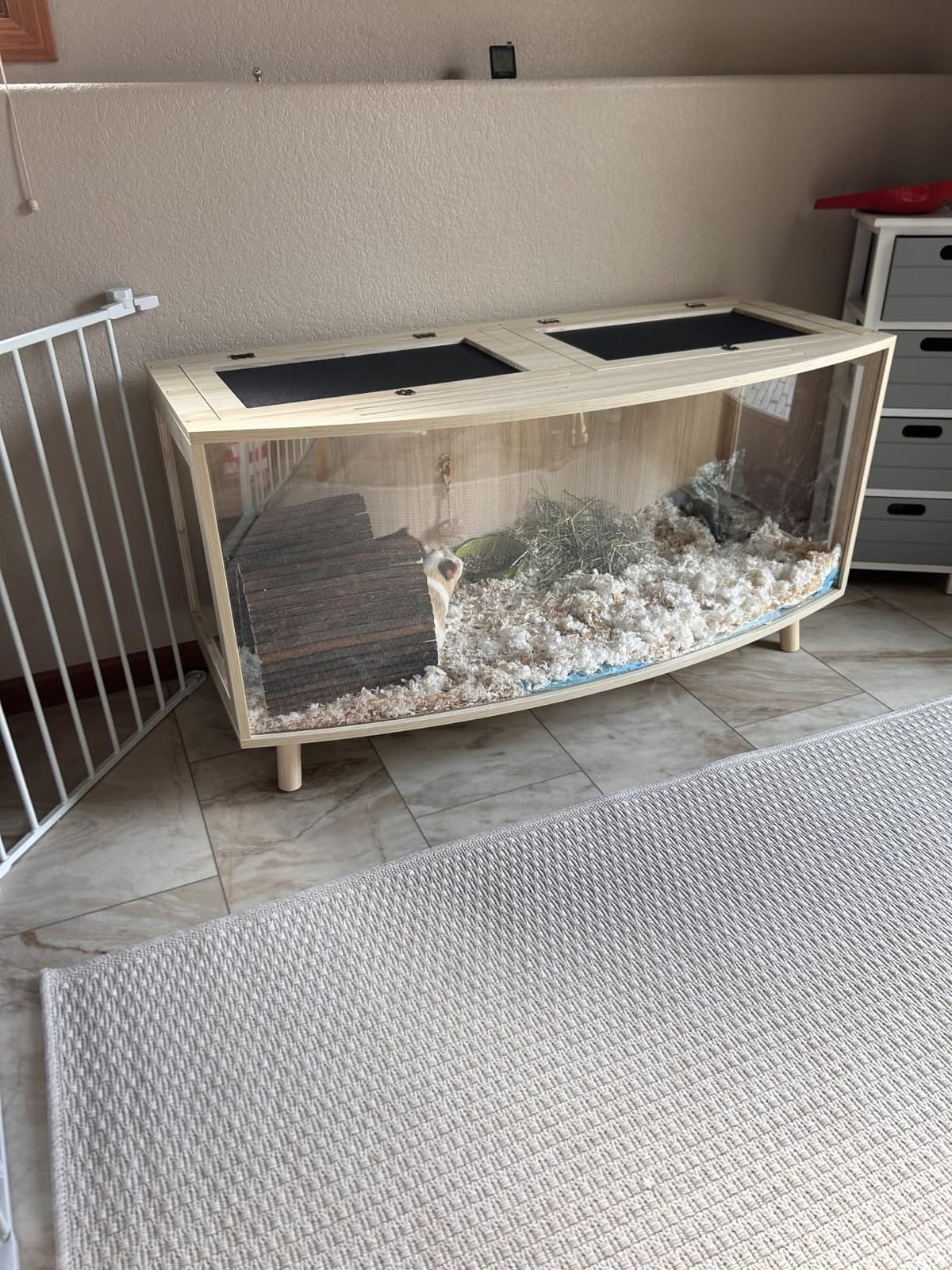 Prolee Hamster Cage with Curved Design, Chew Proof Wooden Hamsters Enclosure with Leg Stand and Openable Top or Gerbils, Hamster Habitat customer photo 1