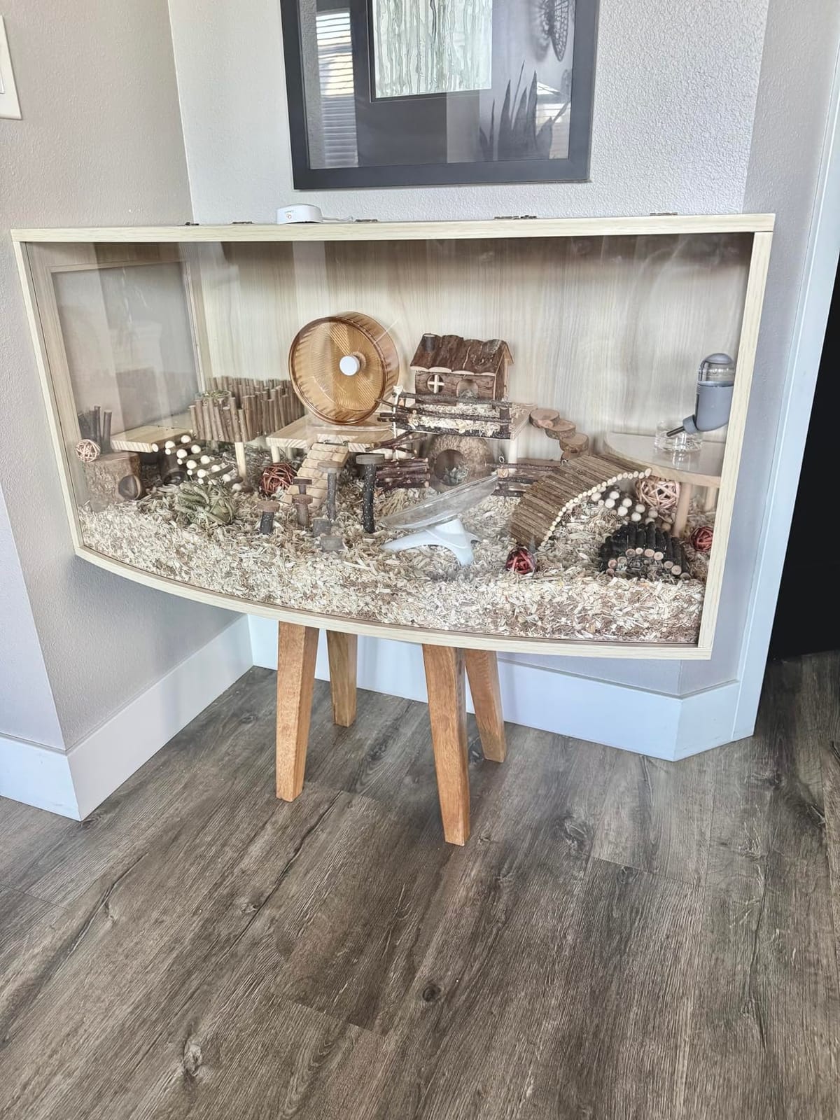 Prolee Hamster Cage with Curved Design, Chew Proof Wooden Hamsters Enclosure with Leg Stand and Openable Top for Gerbils, Hamster Habitat customer photo 1