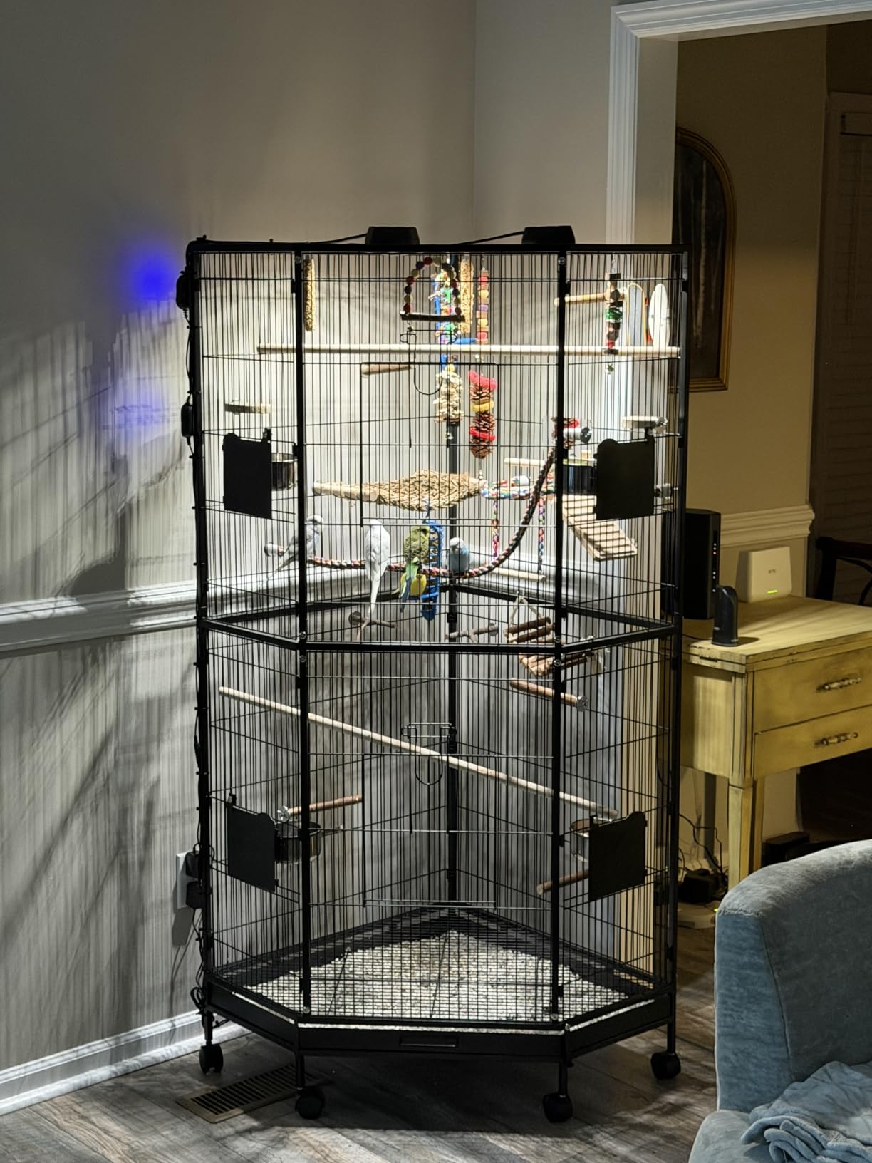 GlowUp 10W Bird Cage Light, Full Spectrum Light for Birds with Chew Guard, UVB2.4 Dimmable Octagonal LED Light Fixture with Plug and Controller, Bird Cage Accessories for Captive Birds Parrots customer photo 1