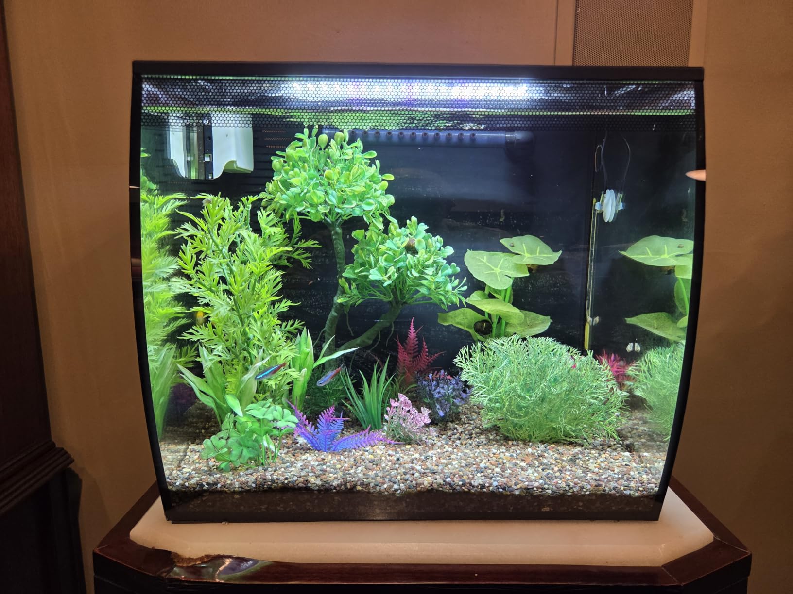 Flex 2.0 Aquarium Kit, 9 Gallon | Freshwater Fish Tank with Curved Glass, Includes 7500K LED Light, Lid and 3-Stage Filtration System customer photo 1