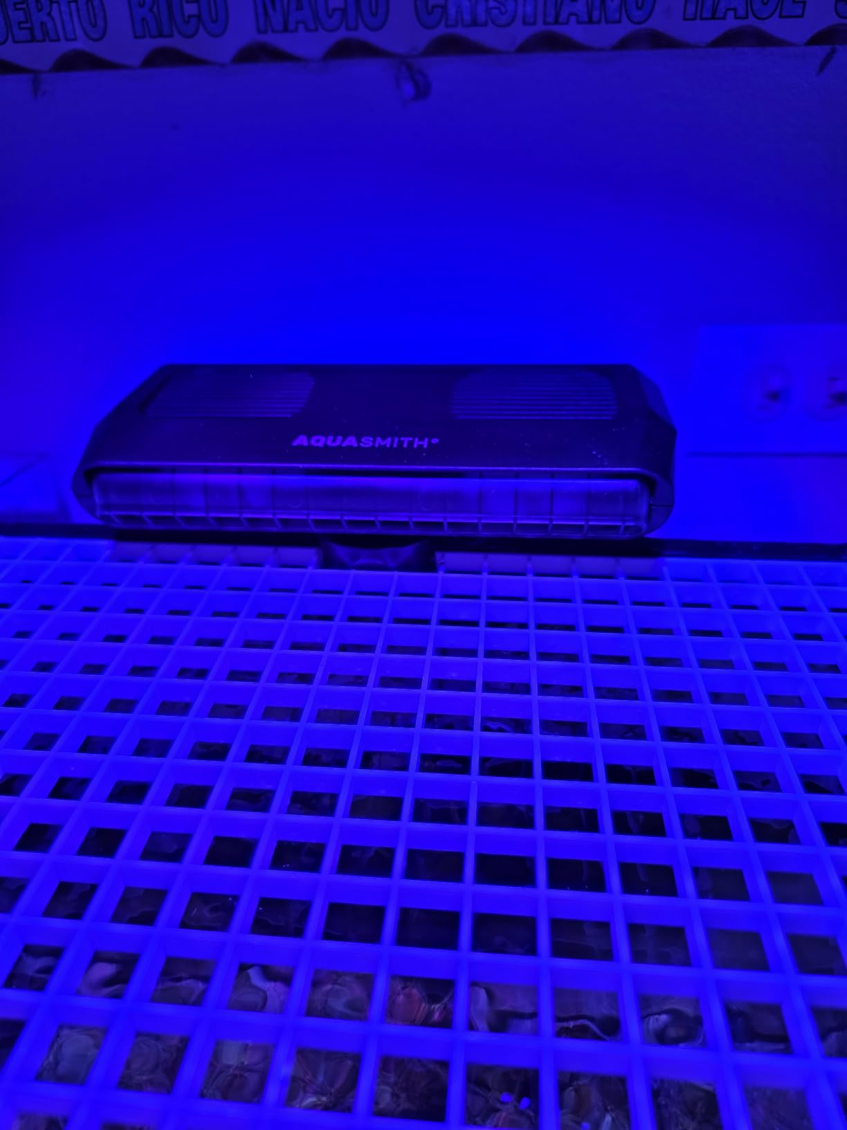 Aquarium Fan, Ultra-Quiet Fish Tank Cooler, More Powerful, Cooling Effect 3-7°F with 3 Speed Modes Adjustable, Applicable Aquariums with or Without Edges, for Axolotl Seawater Freshwater Coral Grass Tank customer photo 1