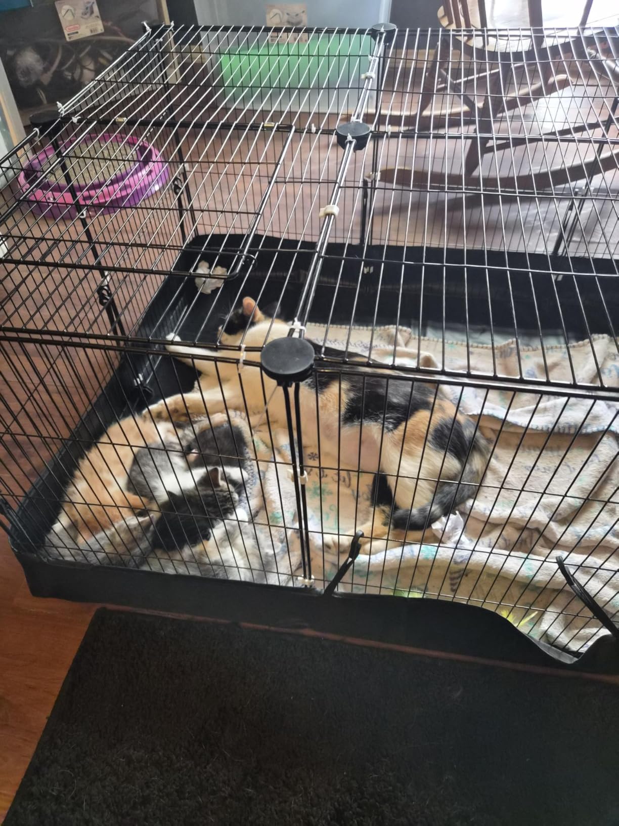 20 Panels Guinea Pig Cages Enclosed Hamster Cage with Door & Waterproof Liner, Expandable Cage for Guinea Pigs, Metal Wire Yard Fence Rabbit Cage customer photo 2