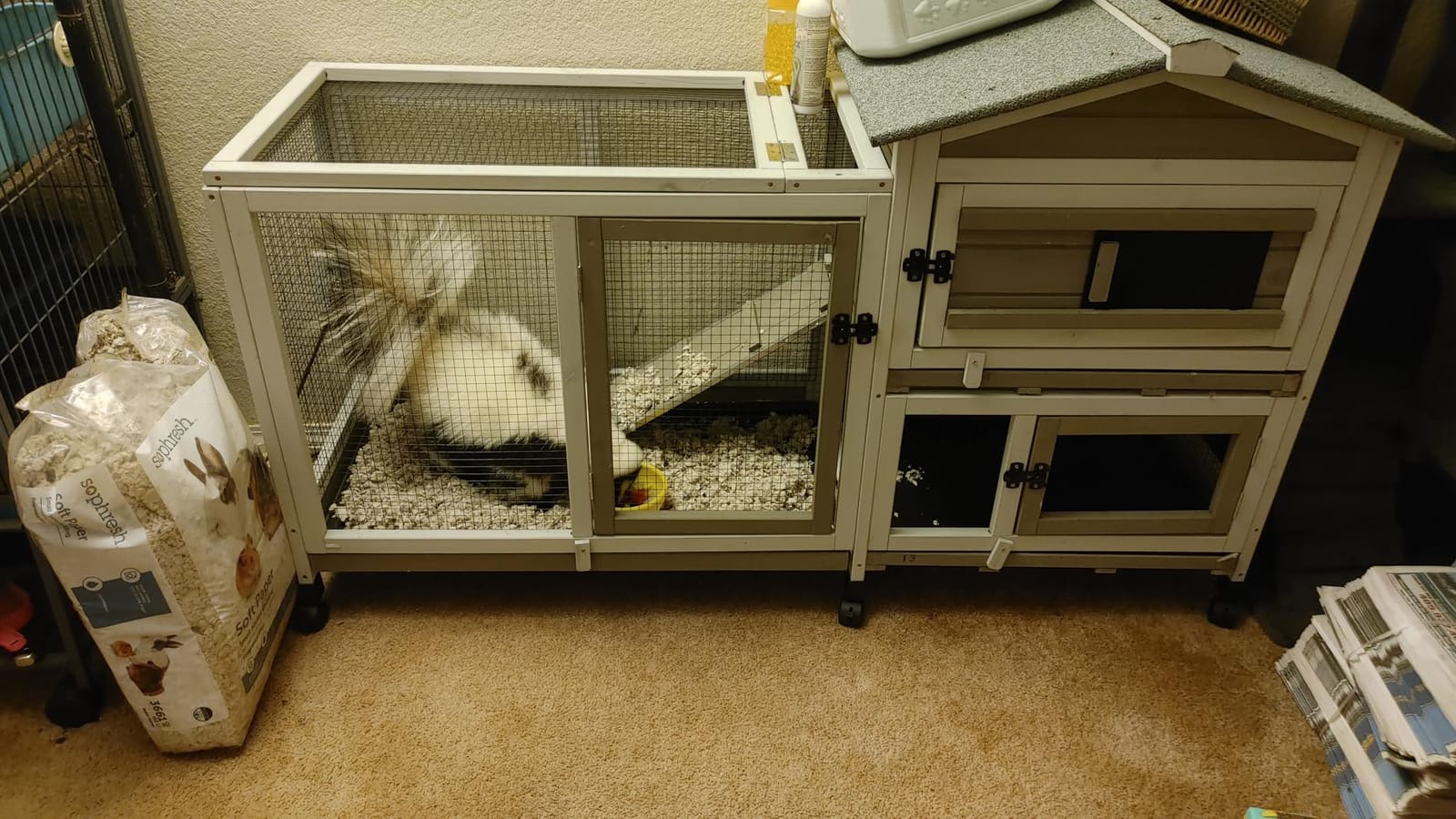 2 Story Rabbit Hutch Outdoor Indoor, Wooden Bunny Cage with 6 Lockable Wheels, 3 Removable No Leakage Pull Out Trays, Chew-Proof Ramp & Waterproof Roof, Ideal for Rabbit & Guinea Pig customer photo 2